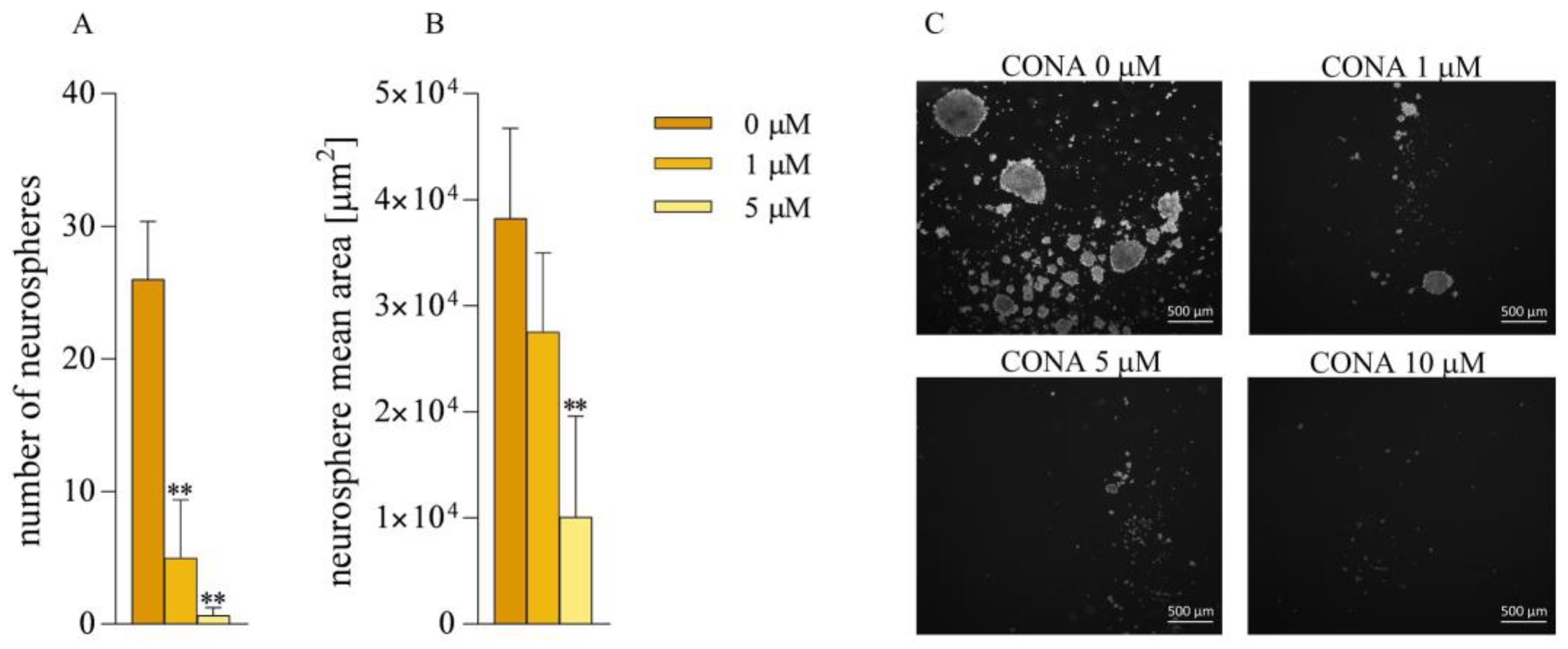 Cells 12 01934 g004 Cells 12 01934 g004