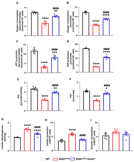 Cells Free Full Text Genetic Downregulation of the  