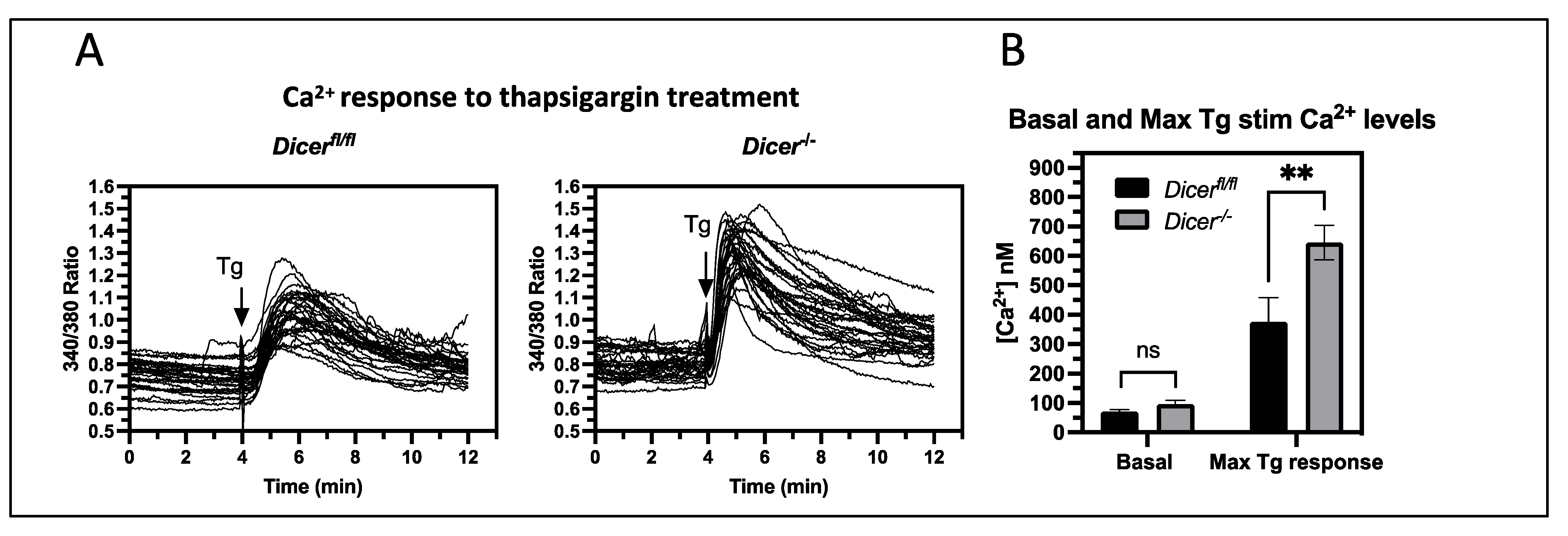 Cells 12 01957 g002 Cells 12 01957 g002