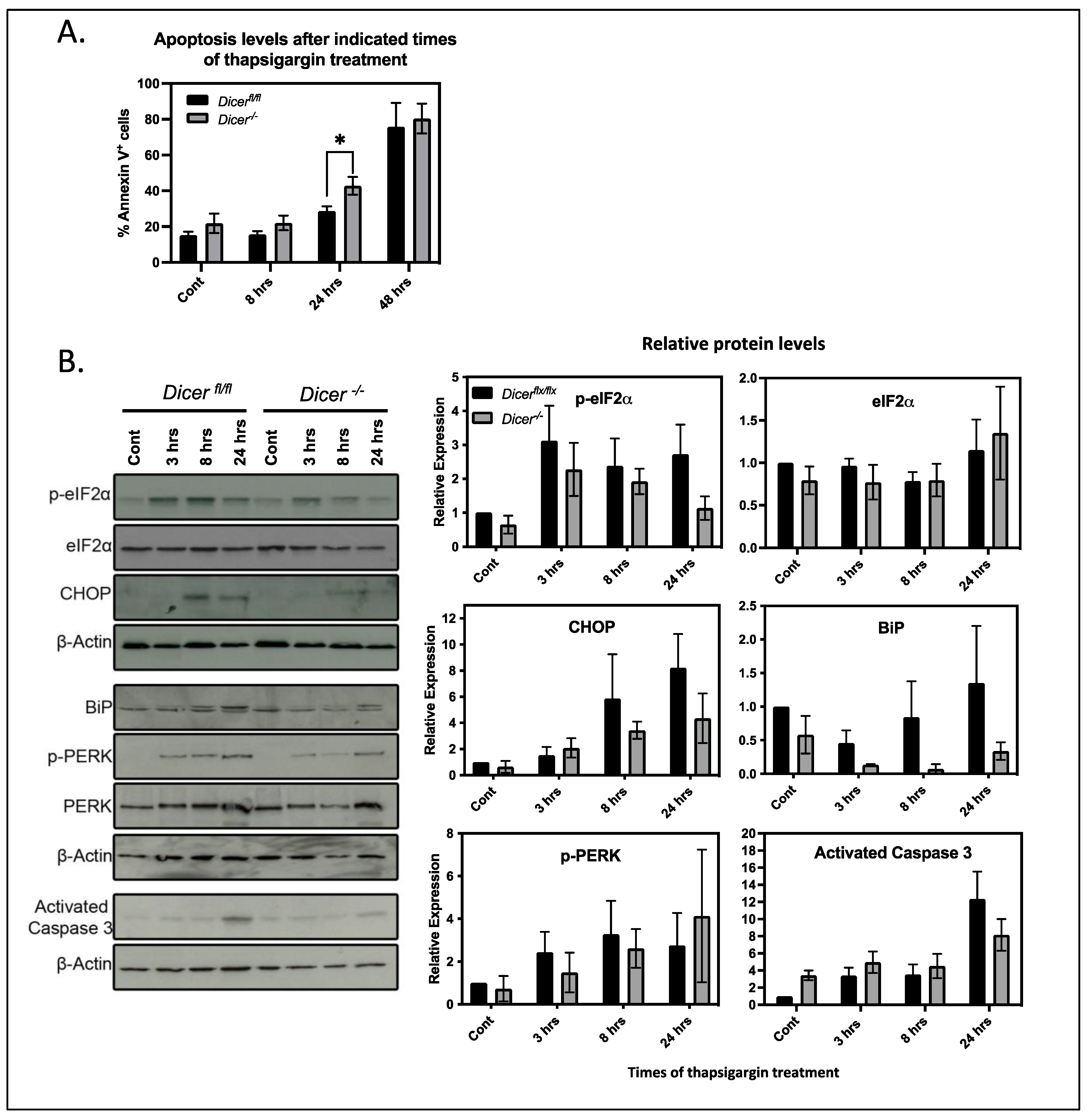 Cells 12 01957 g003 Cells 12 01957 g003
