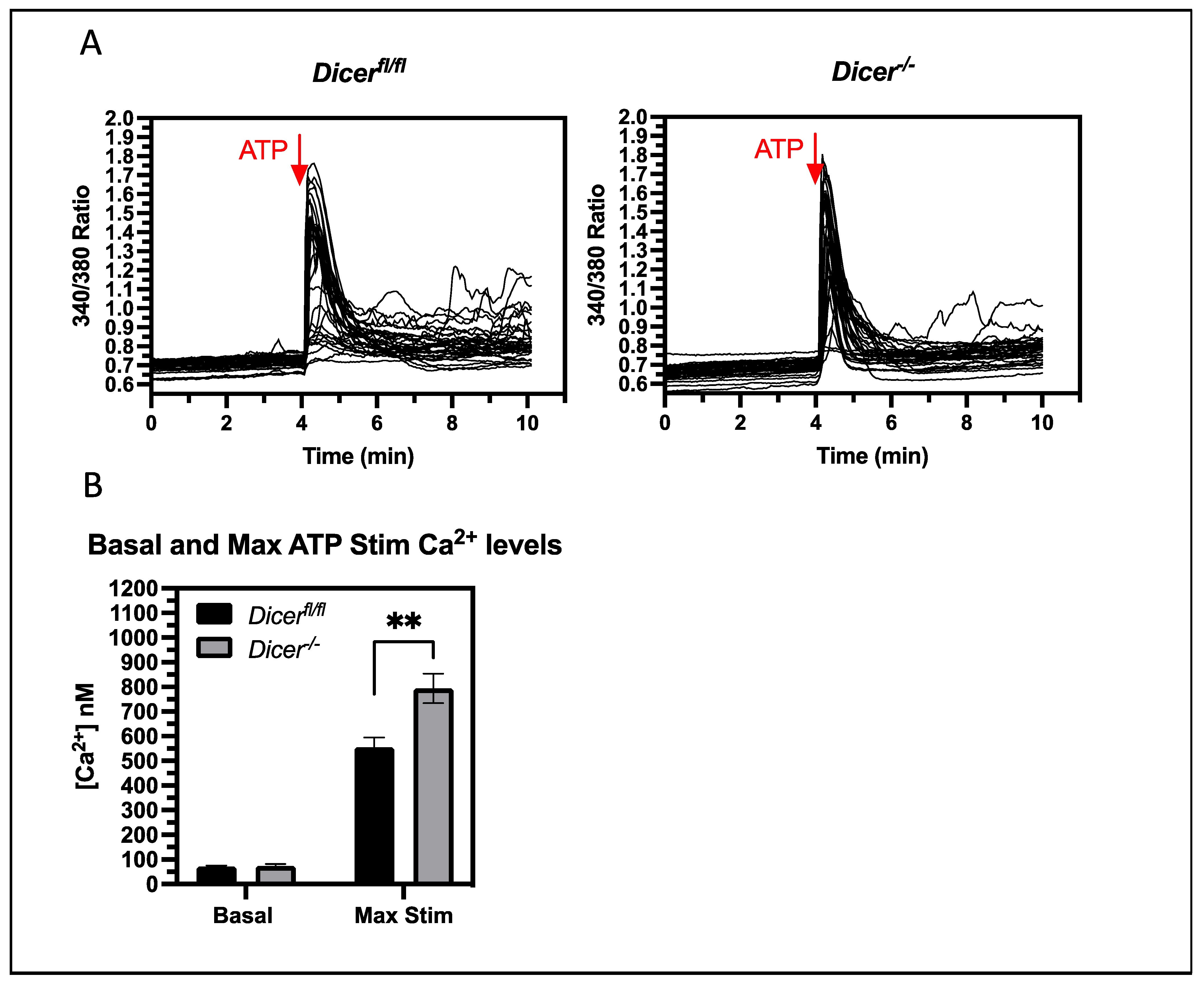 Cells 12 01957 g004 Cells 12 01957 g004