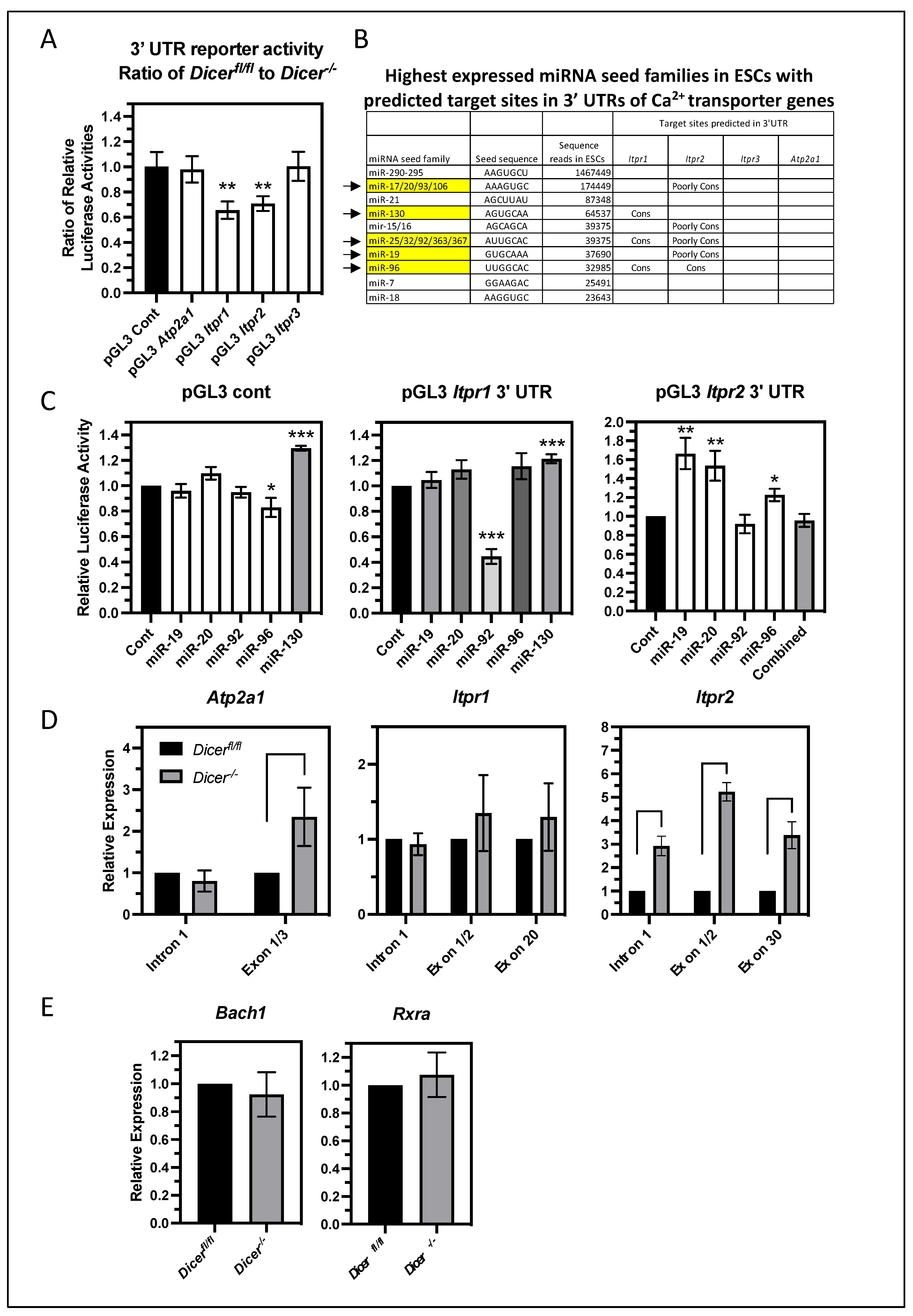 Cells 12 01957 g006 Cells 12 01957 g006