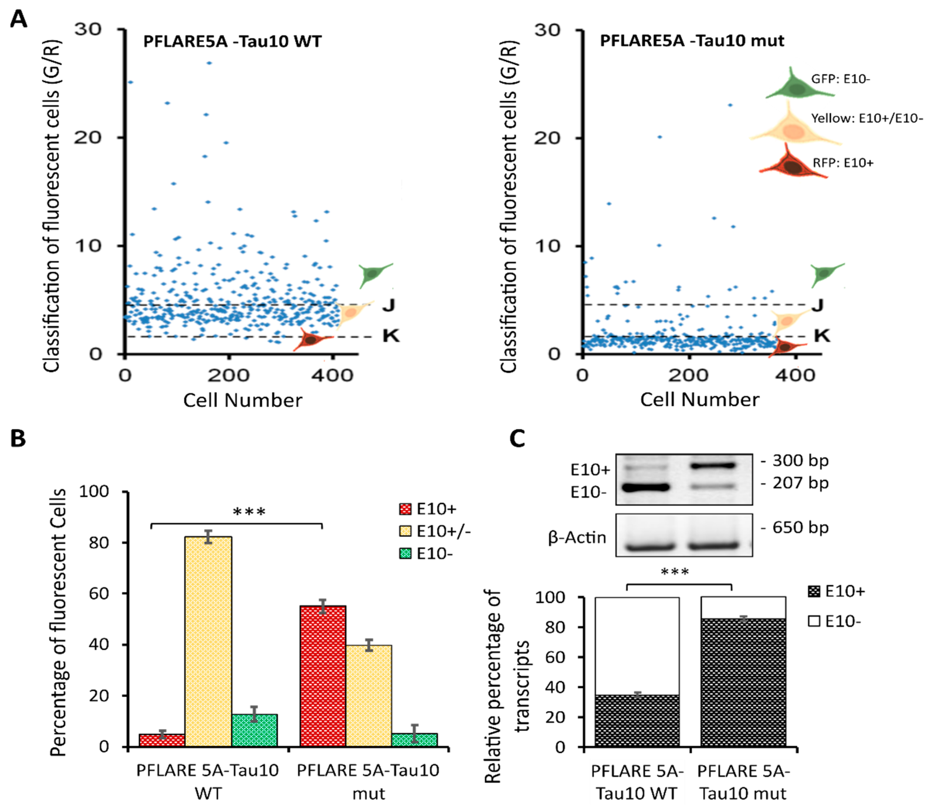 Cells 12 01959 g003 Cells 12 01959 g003