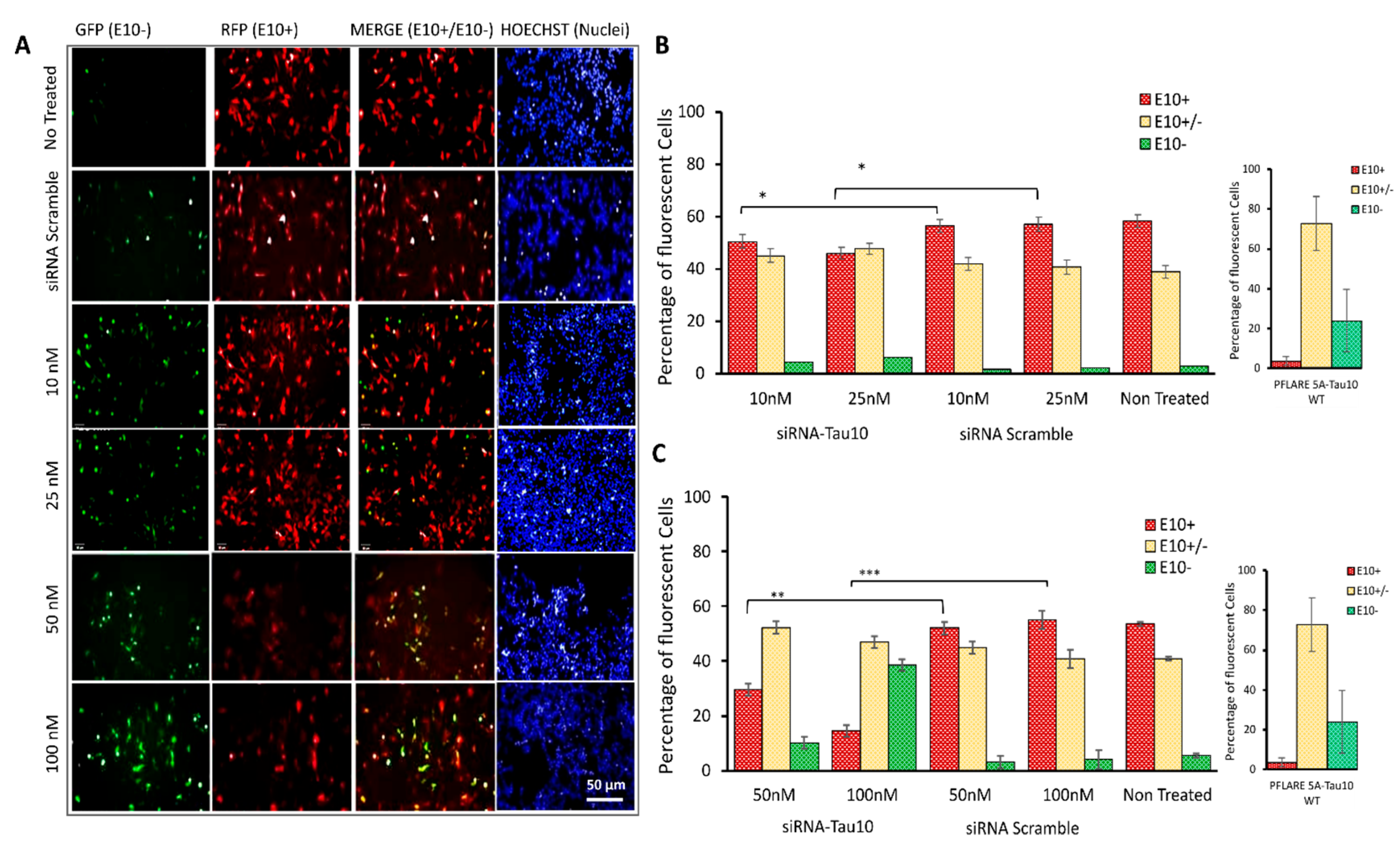 Cells 12 01959 g004 Cells 12 01959 g004