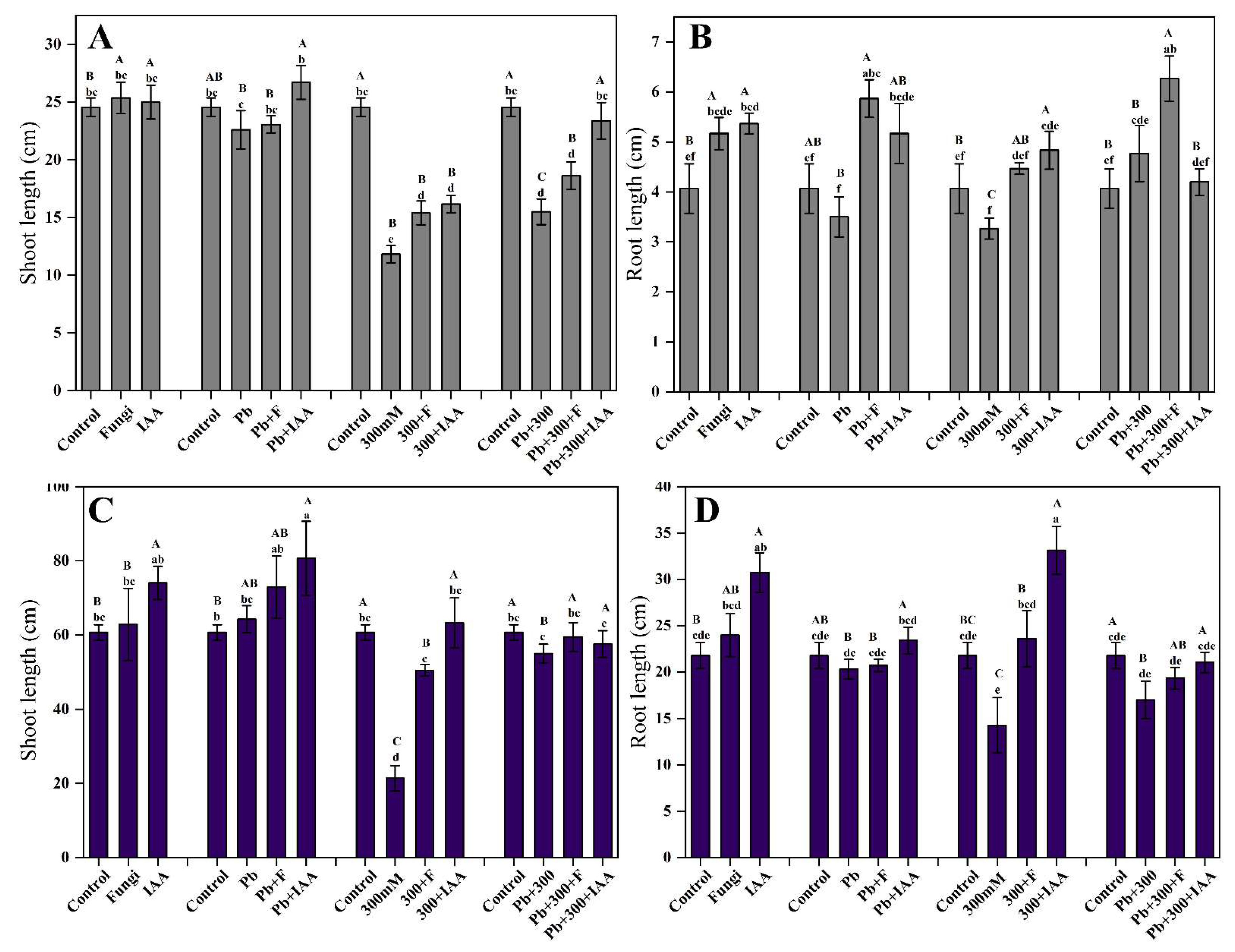 Cells 12 01960 g003 Cells 12 01960 g003