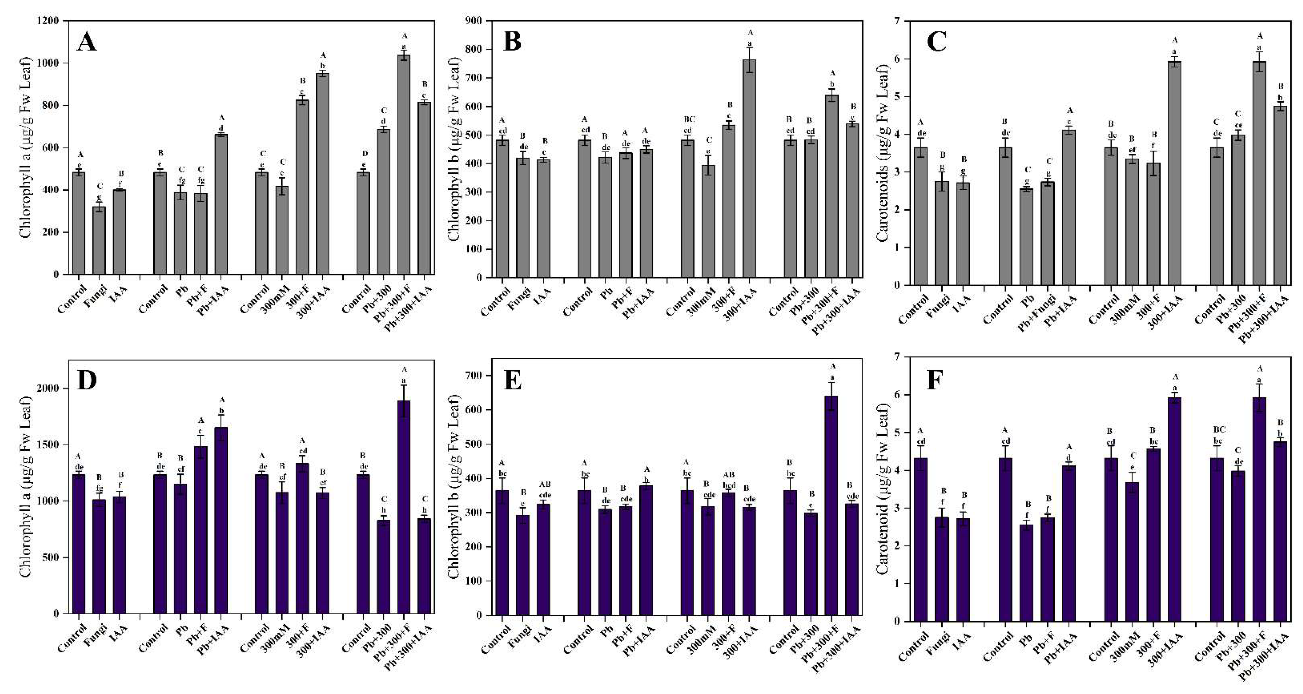 Cells 12 01960 g005 Cells 12 01960 g005