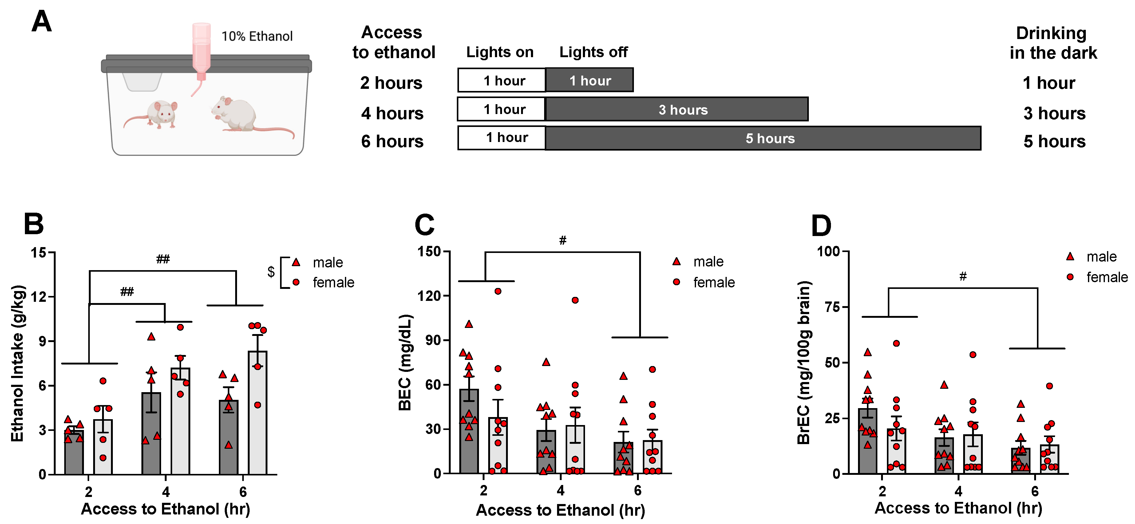 Voluntary and forced exposure to ethanol vapor produces similar