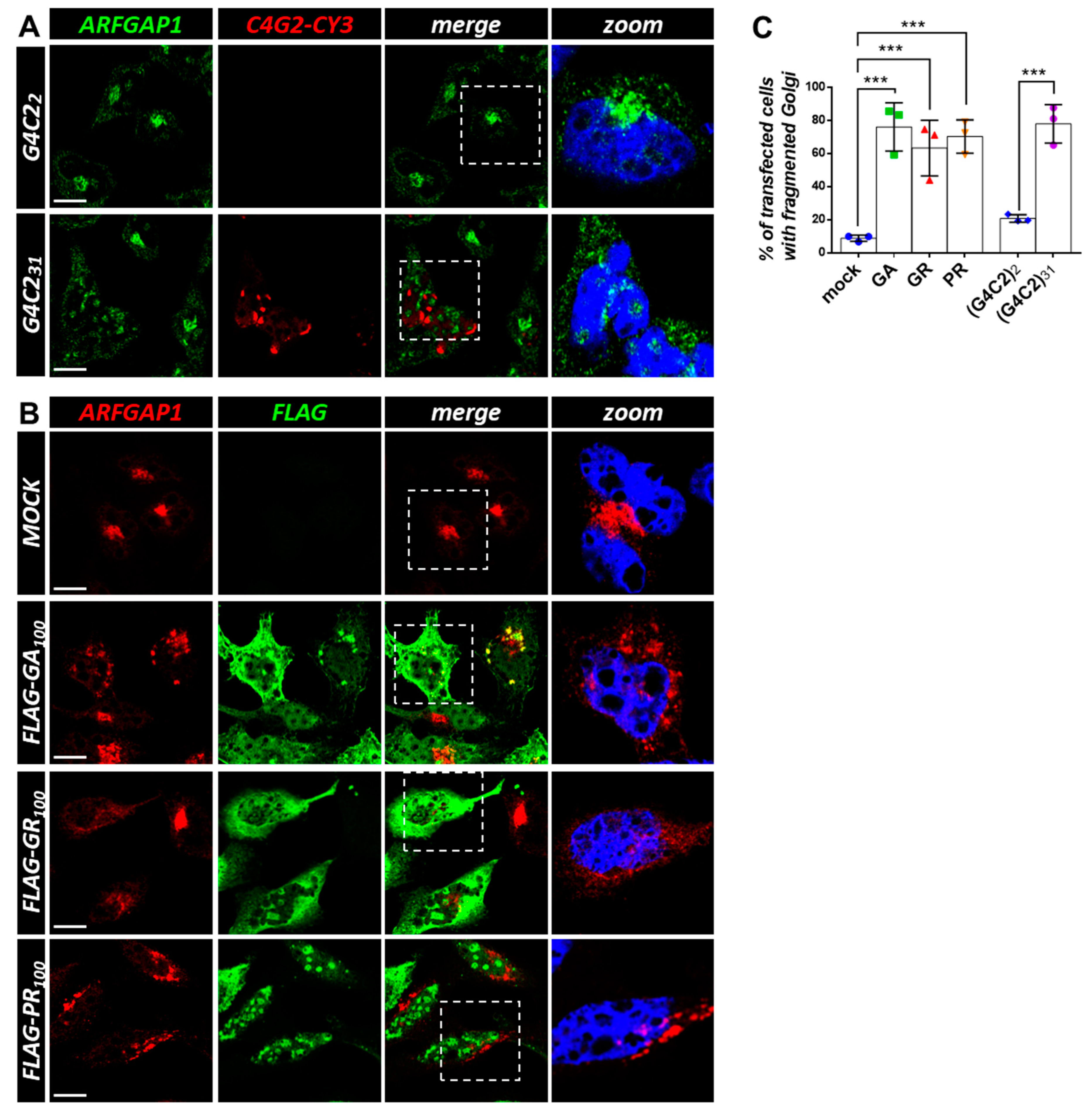 Cells 12 02007 g004 Cells 12 02007 g004