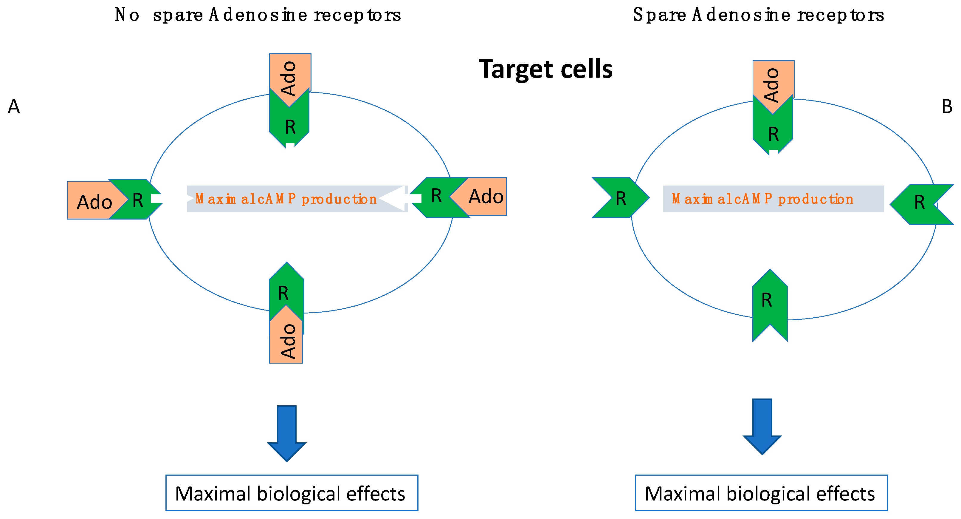 Cells 12 02027 g006 Cells 12 02027 g006