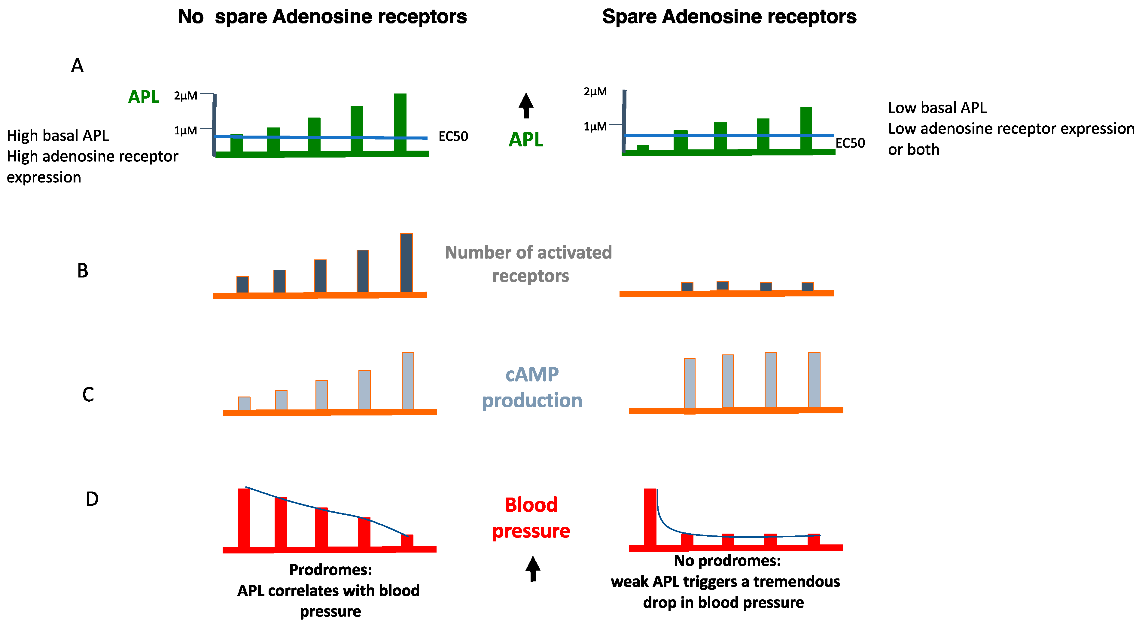 Cells 12 02027 g007 Cells 12 02027 g007