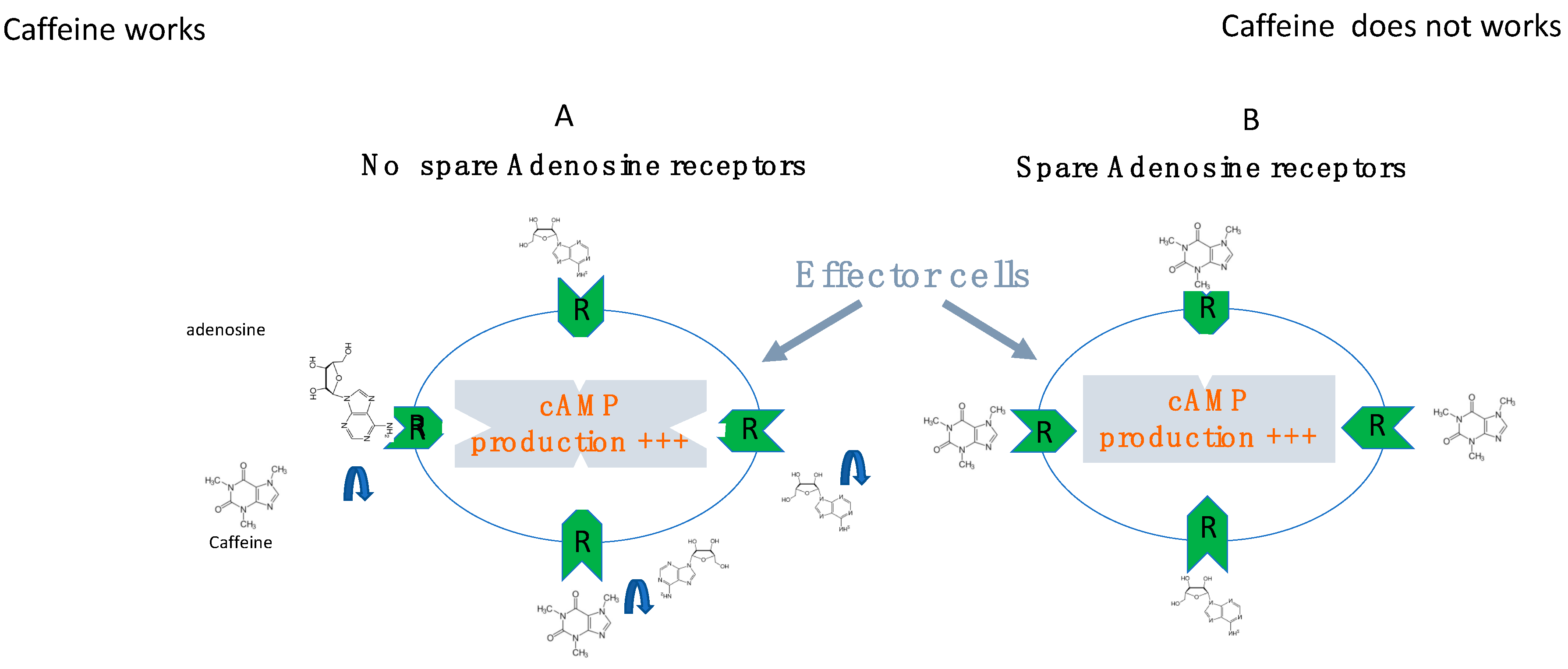 Cells 12 02027 g009 Cells 12 02027 g009