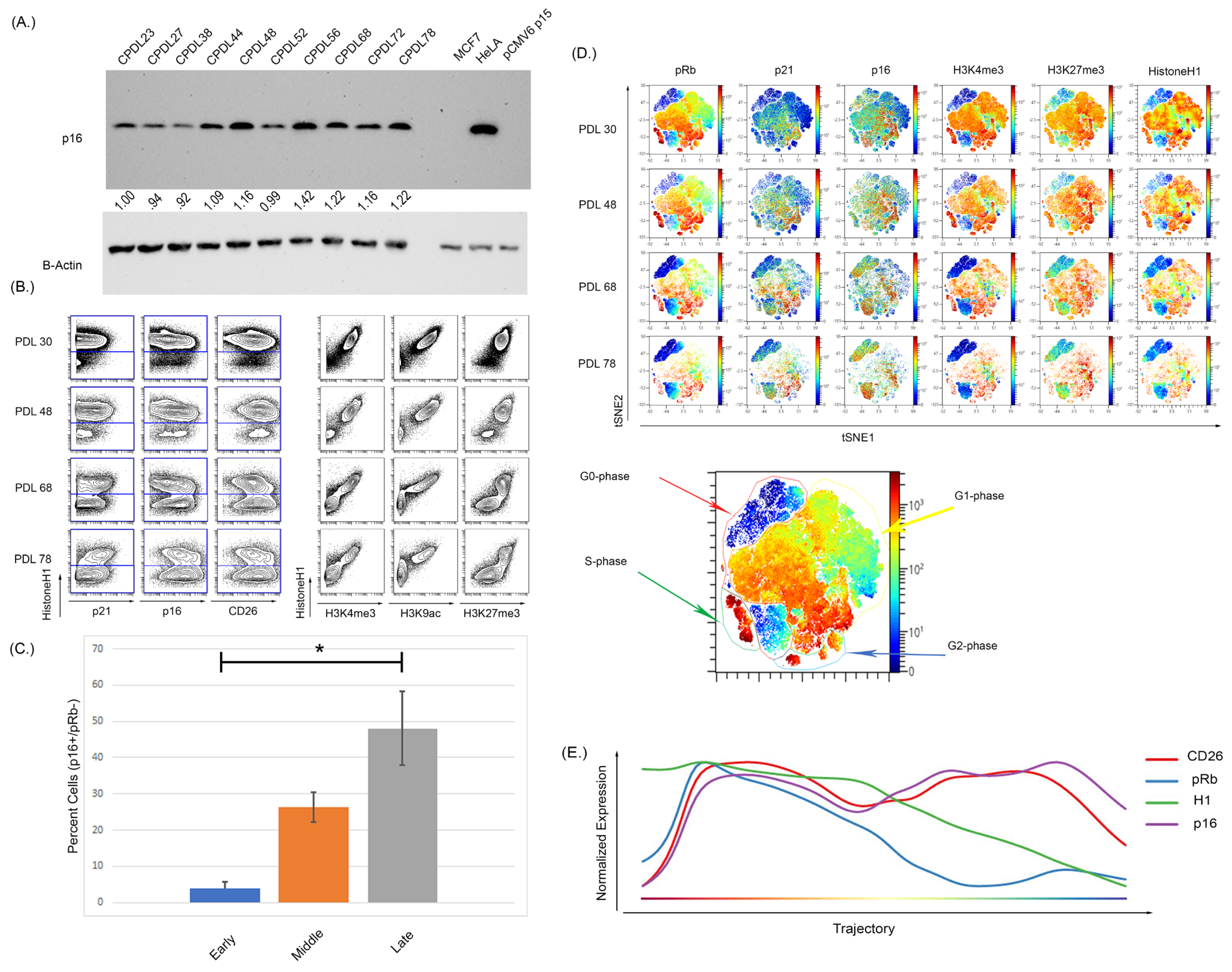 Cells | Free Full-Text | Mass Cytometry as a Tool for 