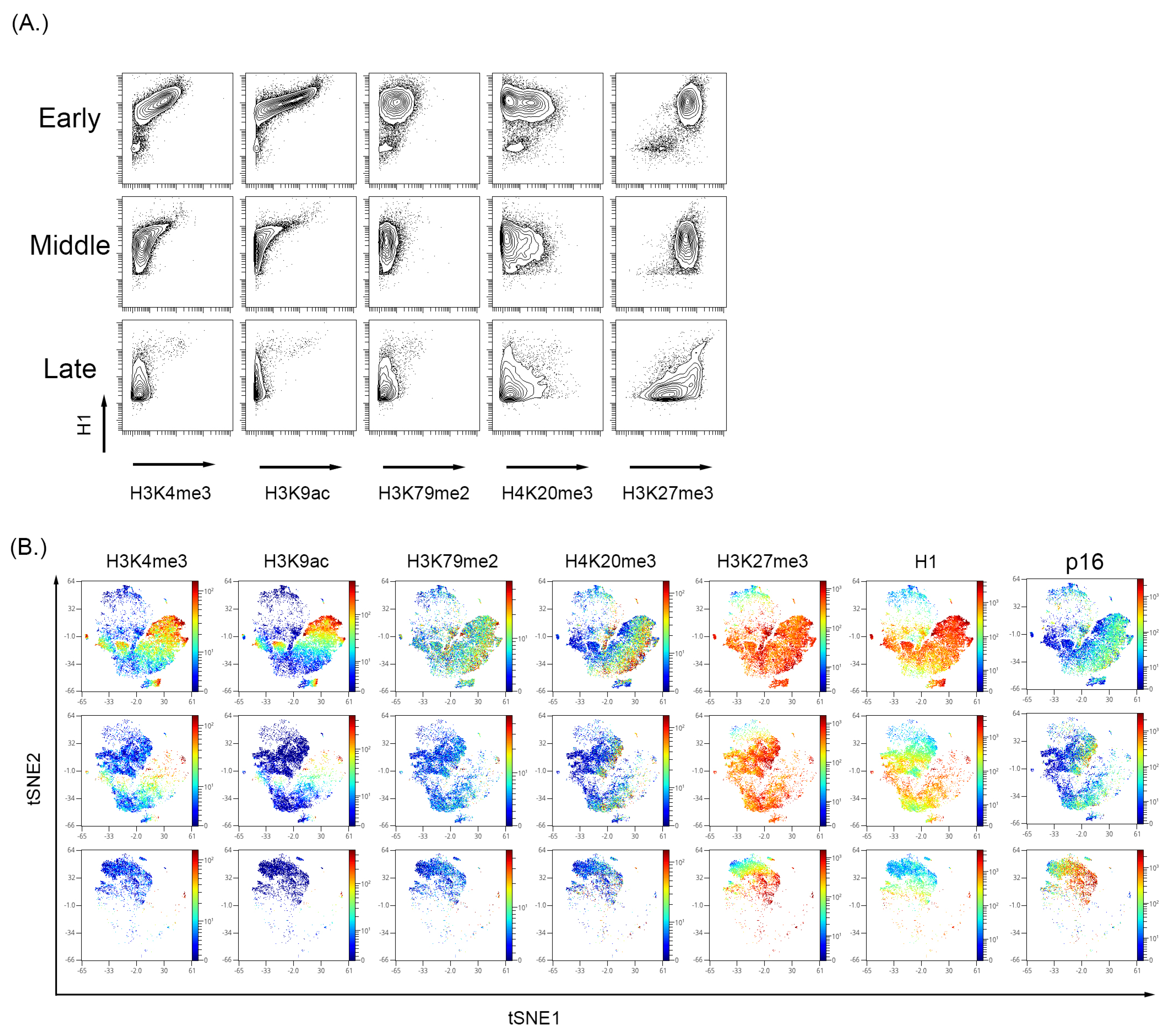 Cells 12 02045 g004 Cells 12 02045 g004