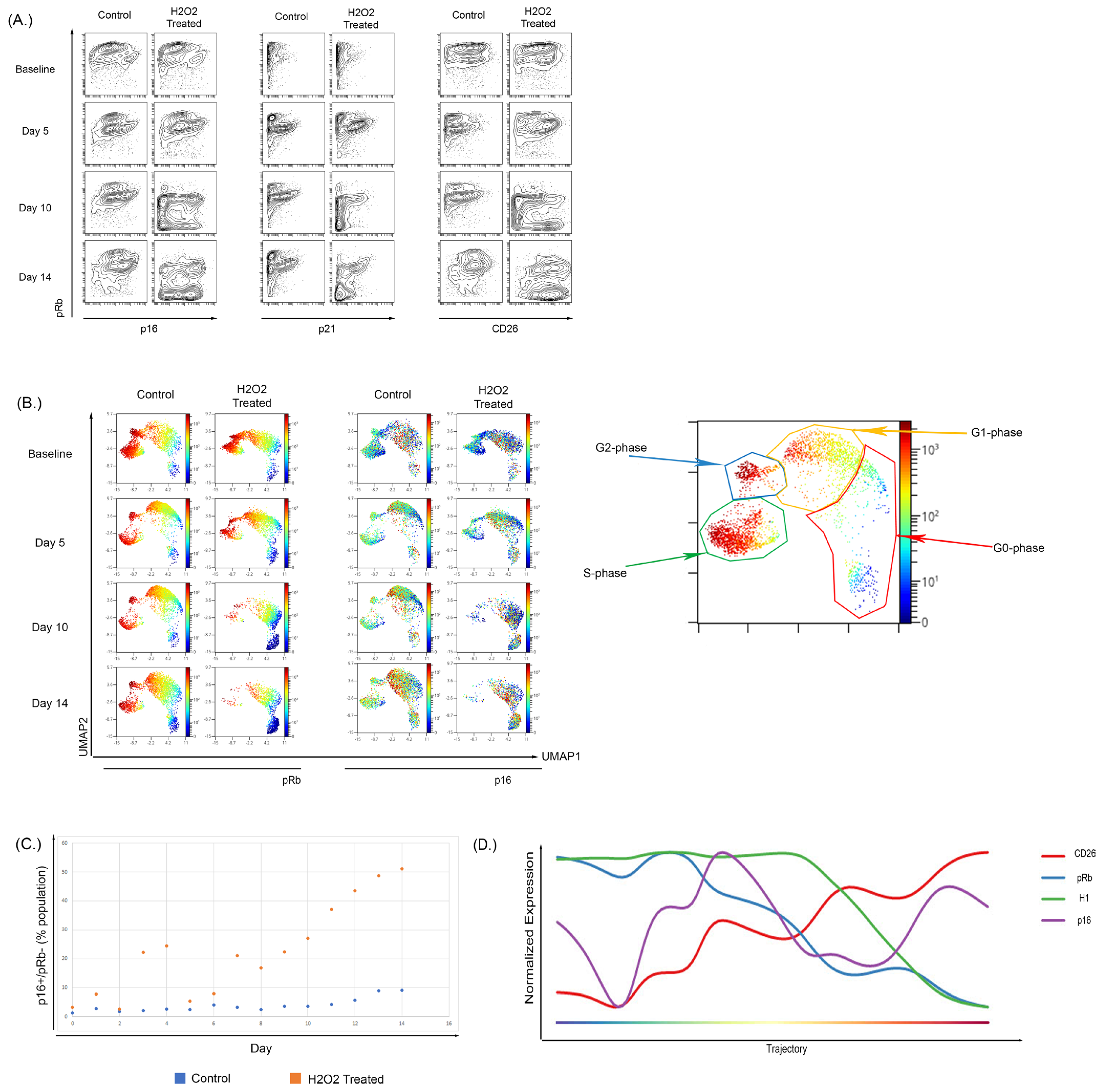 Cells 12 02045 g005 Cells 12 02045 g005