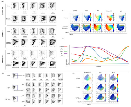 Cells | Free Full-Text | Mass Cytometry as a Tool for 