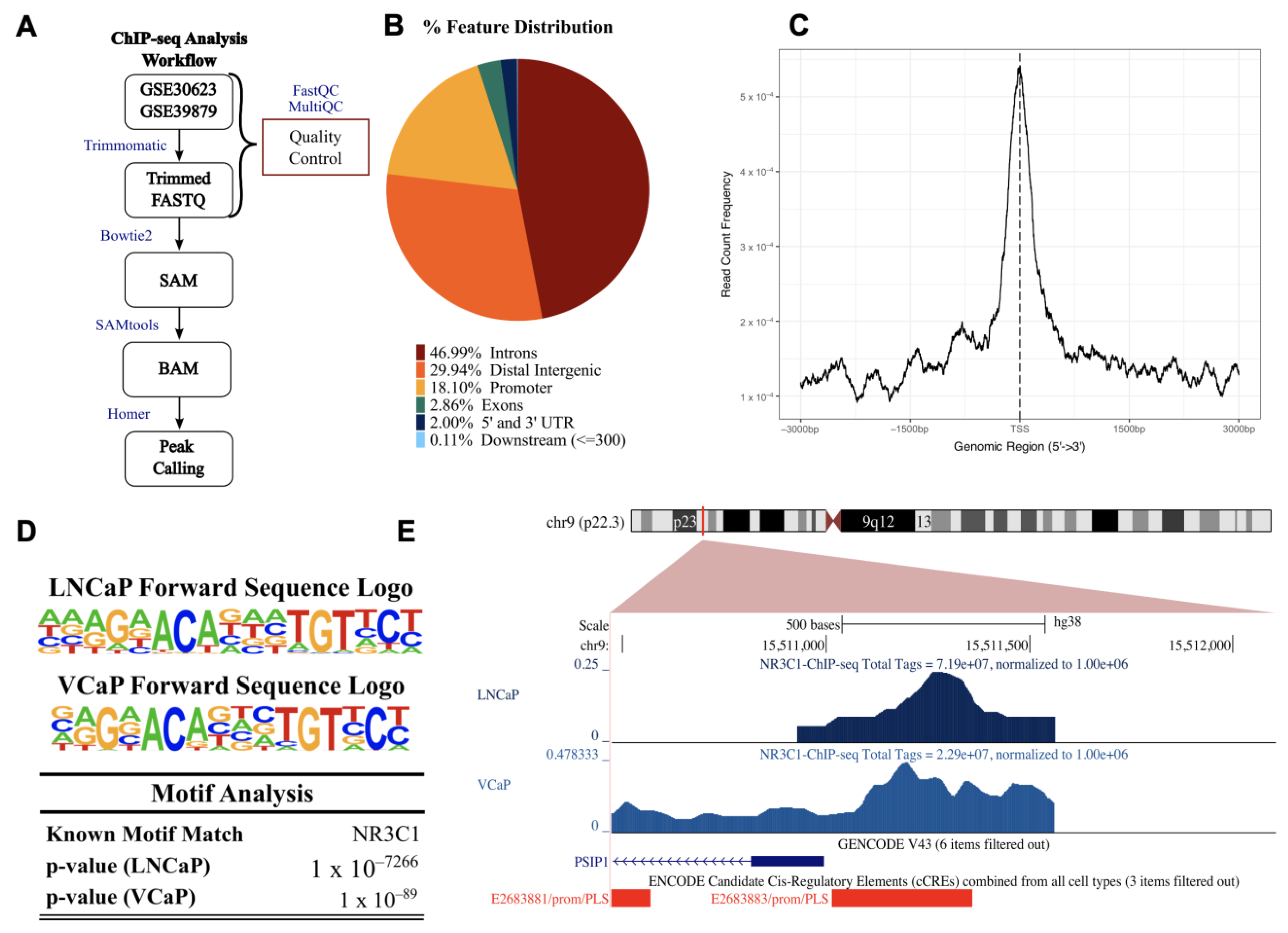 Cells 12 02046 g004 Cells 12 02046 g004
