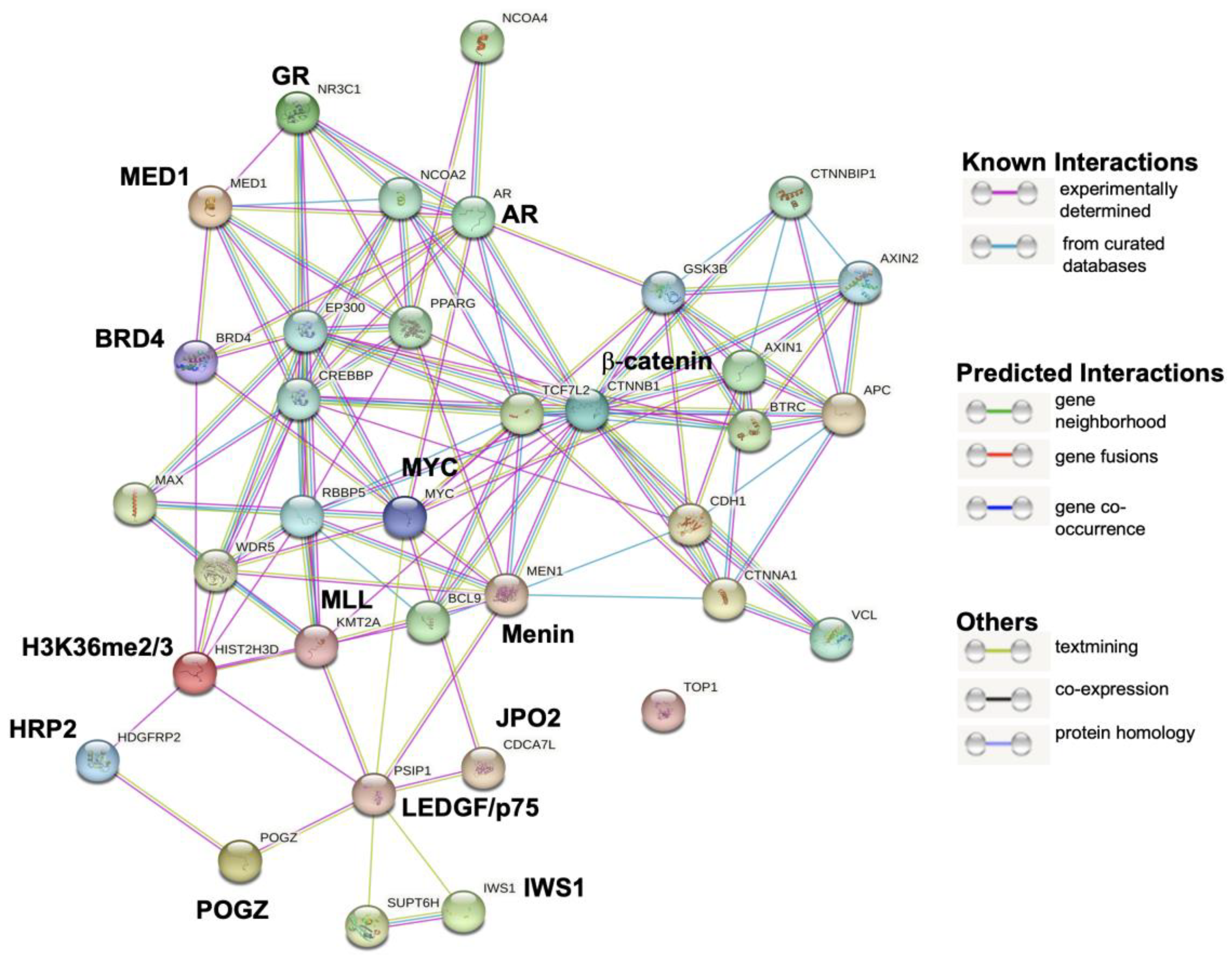 Cells 12 02046 g005 Cells 12 02046 g005