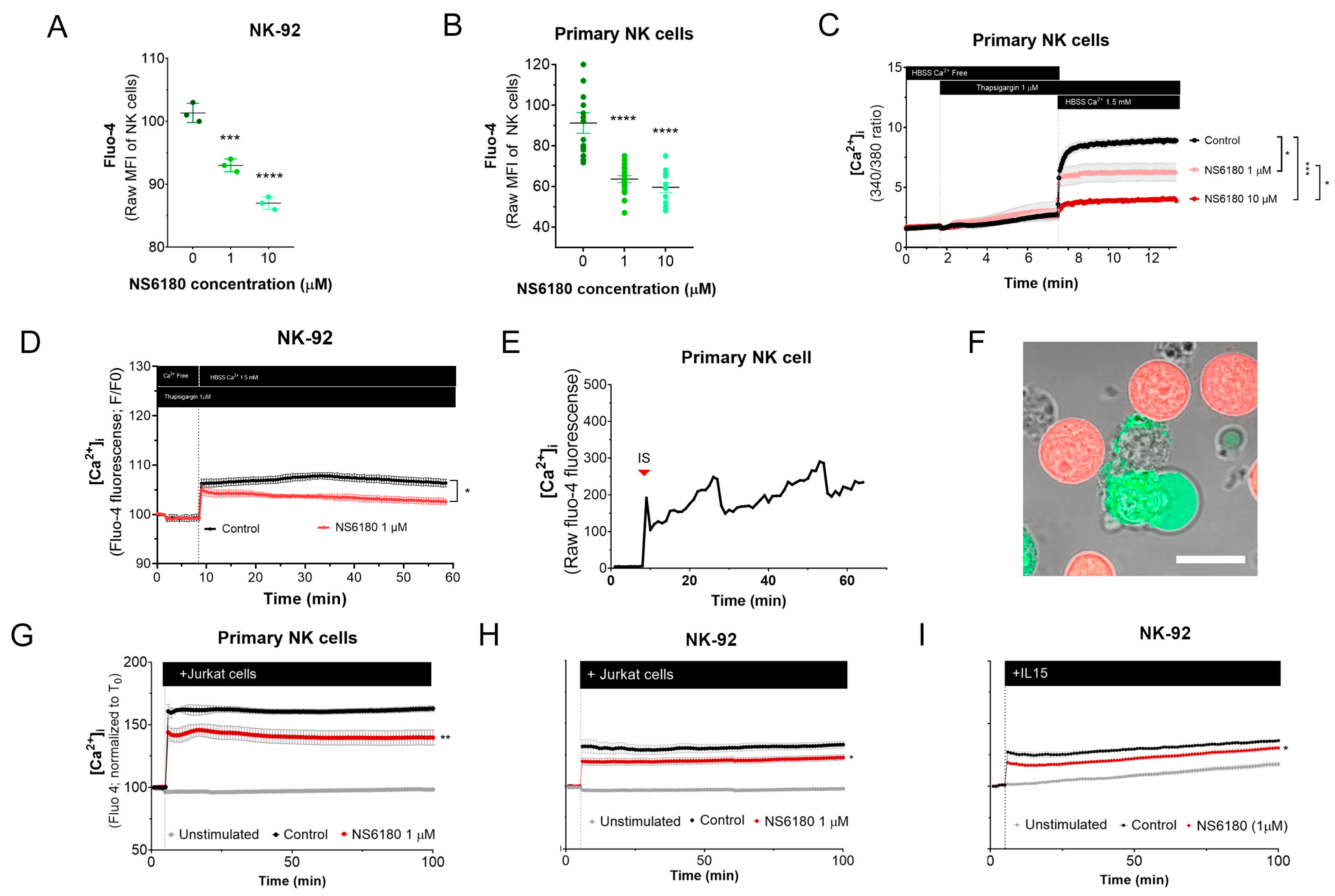 Cells 12 02065 g004 Cells 12 02065 g004