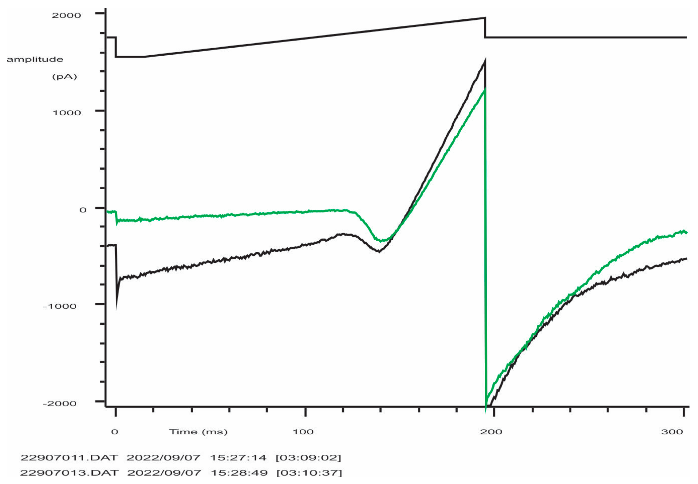 Cells 12 02065 g0a2 Cells 12 02065 g0a2