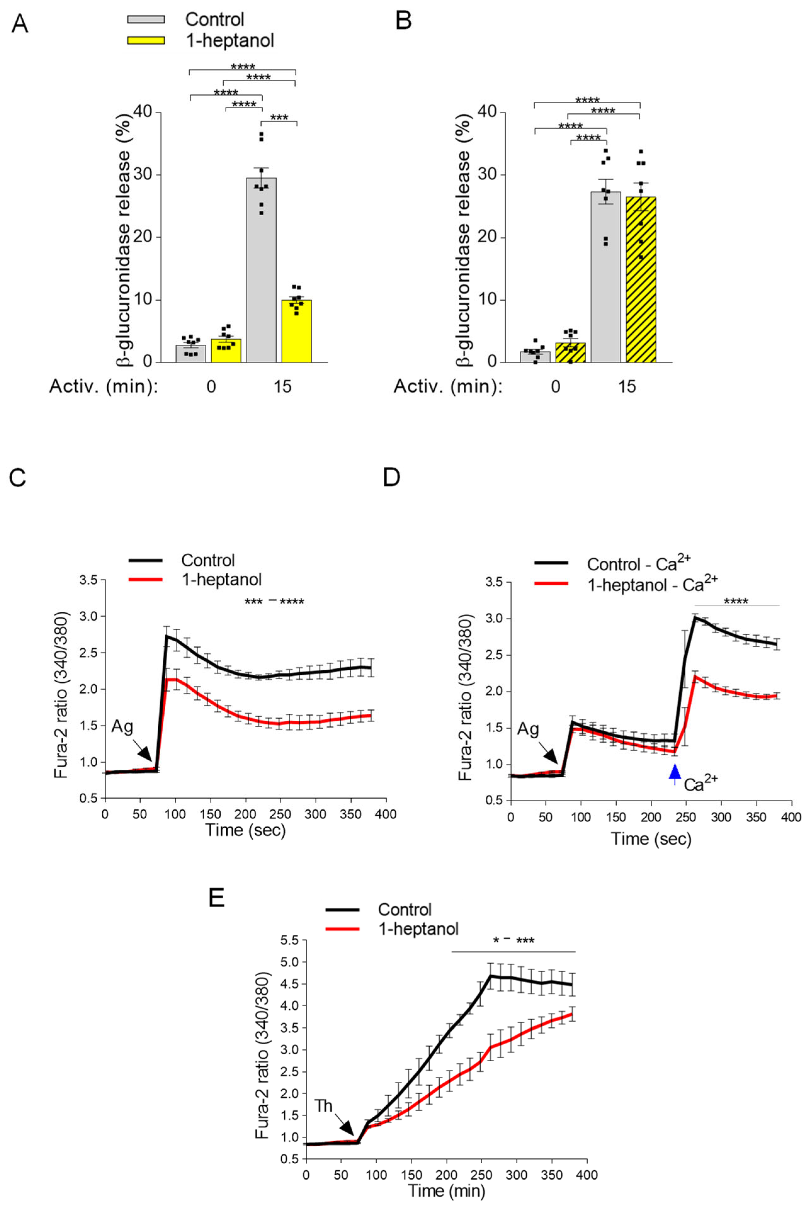 Cells 12 02069 g006 Cells 12 02069 g006
