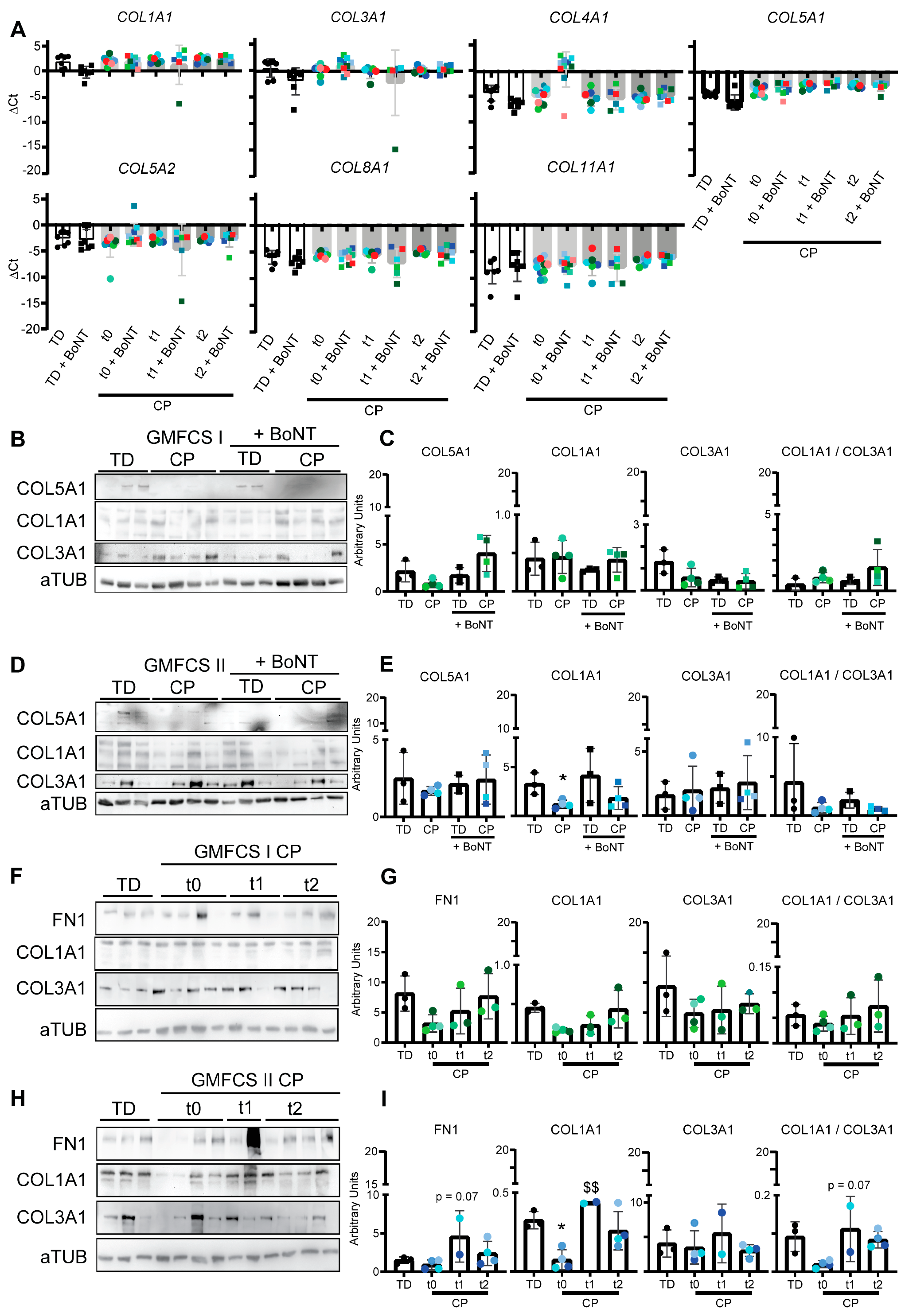 Cells 12 02072 g002 Cells 12 02072 g002