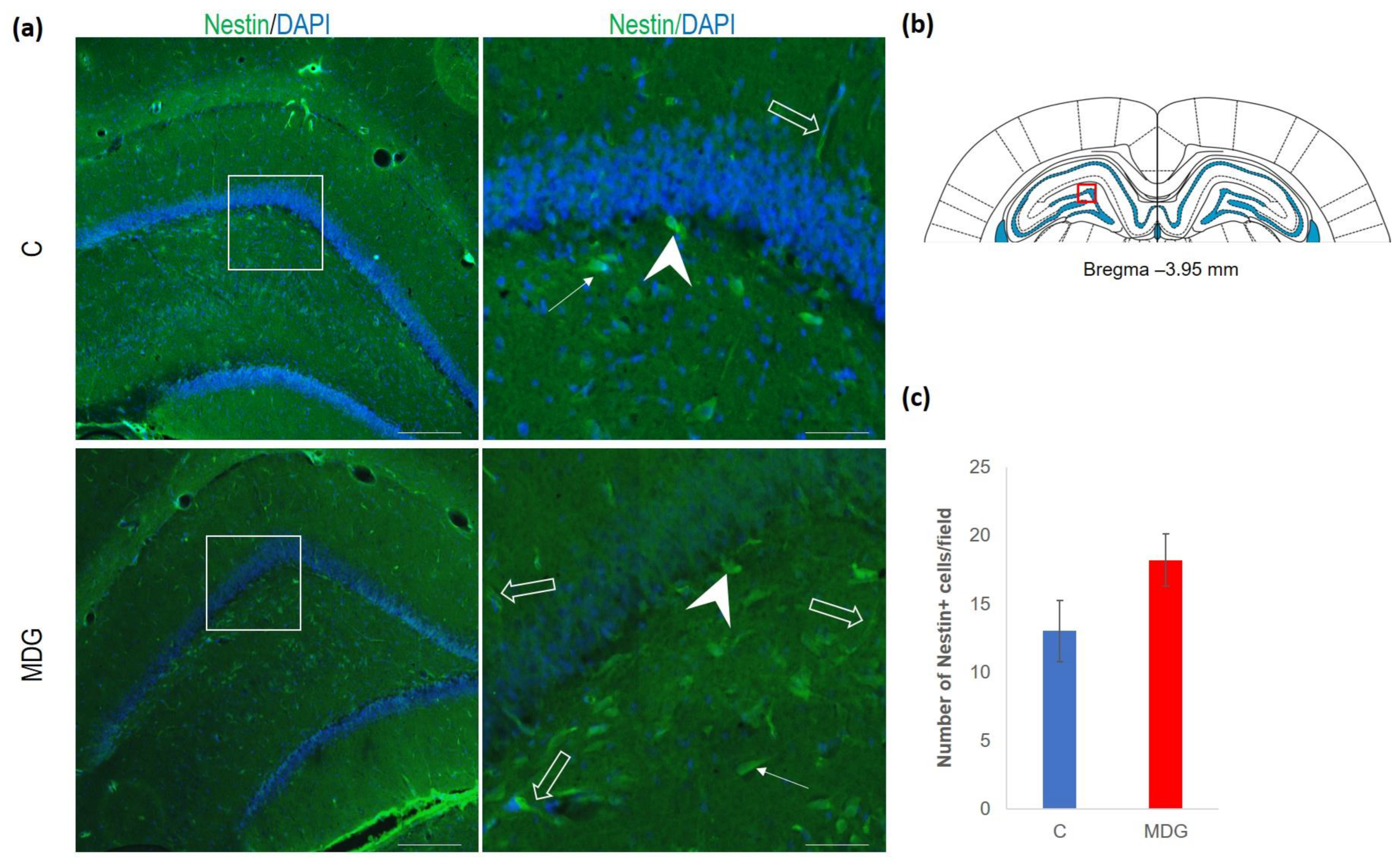 Cells 12 02087 g007 Cells 12 02087 g007