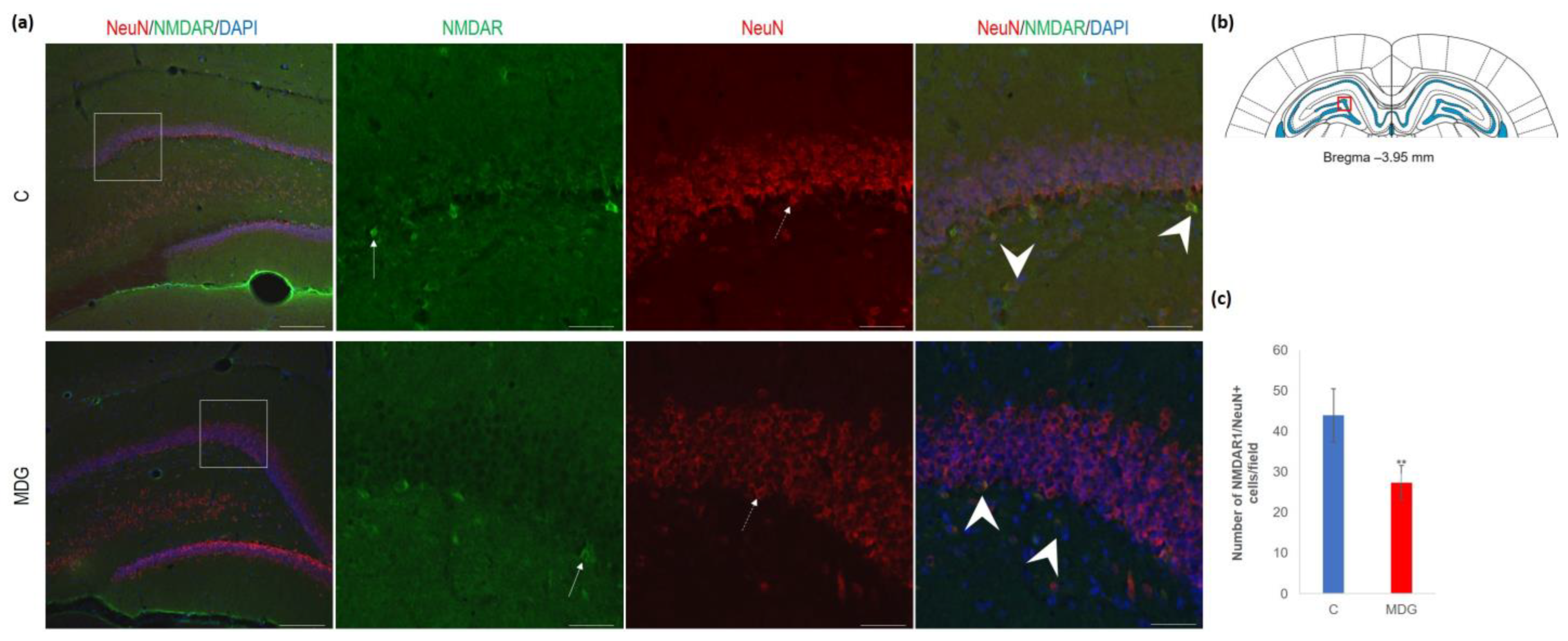 Cells 12 02087 g009 Cells 12 02087 g009