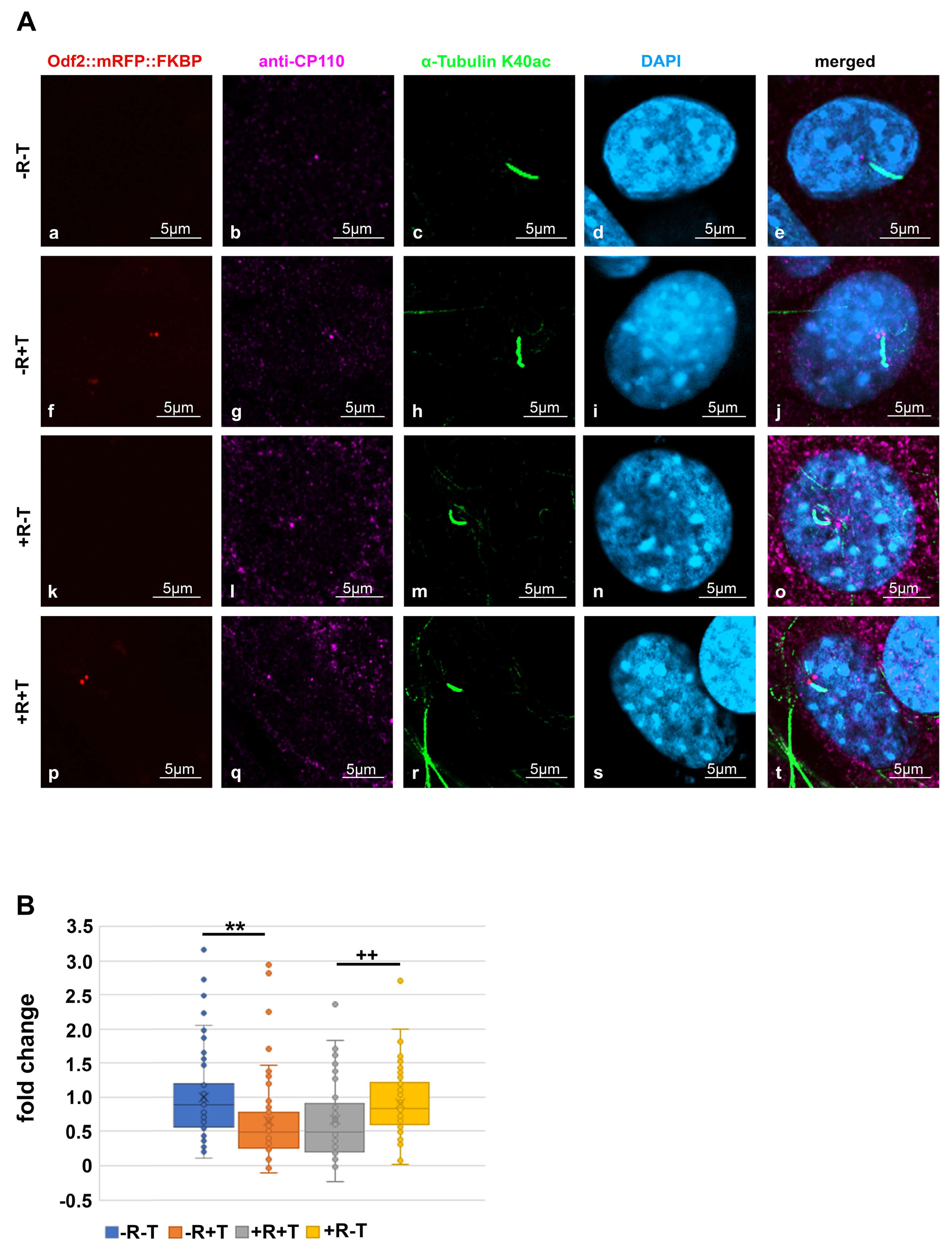 Cells 12 02194 g002