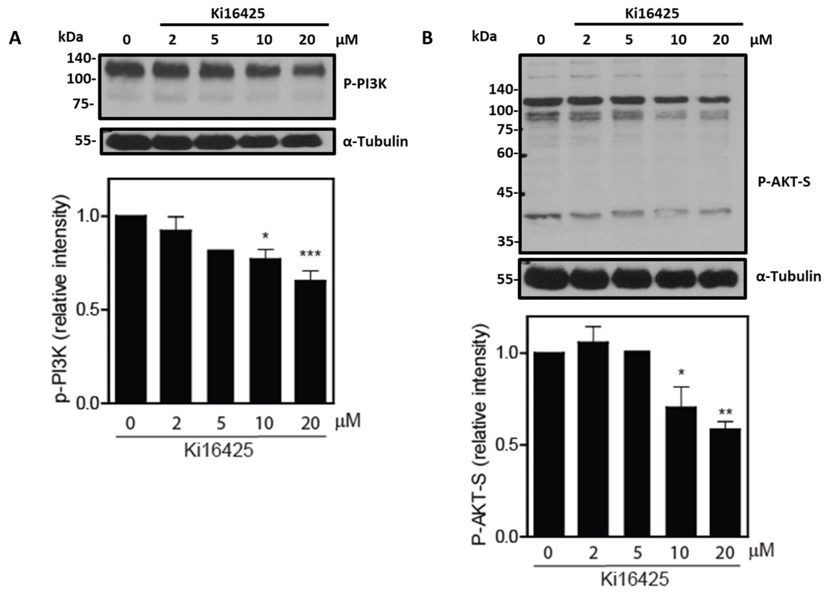 Cells 12 02196 g003
