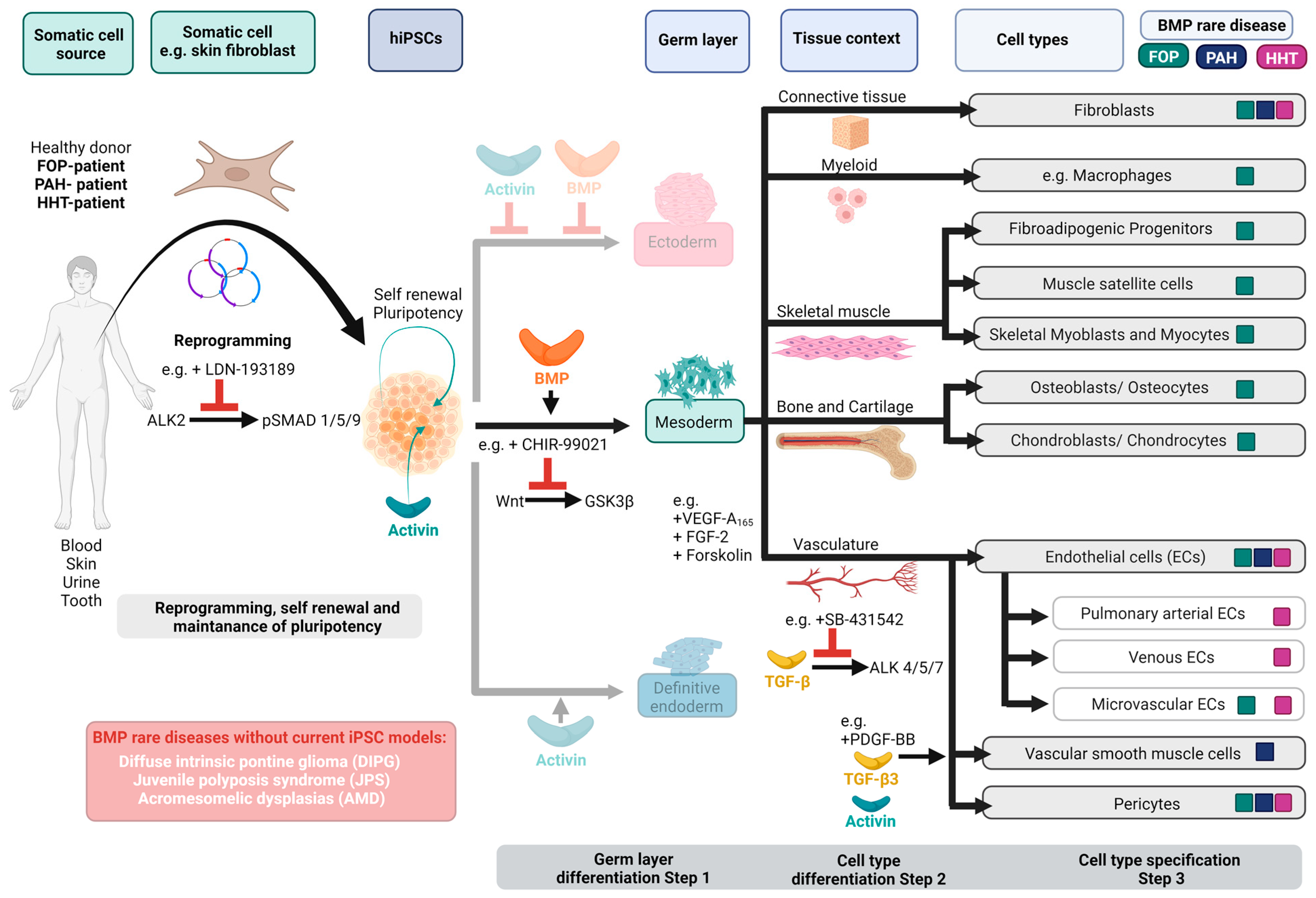 Cells 12 02200 g002 Cells 12 02200 g002