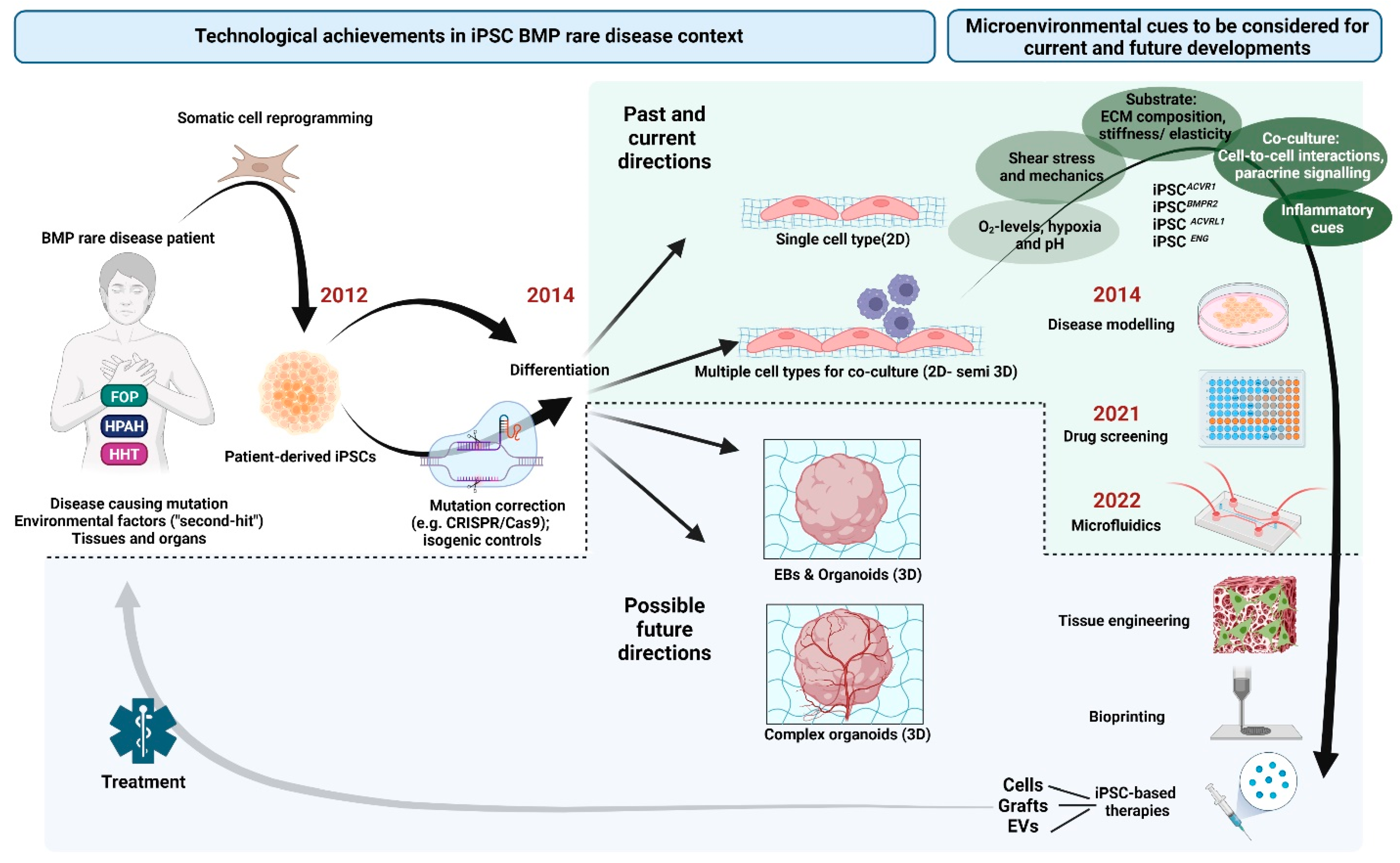 Cells 12 02200 g004 Cells 12 02200 g004