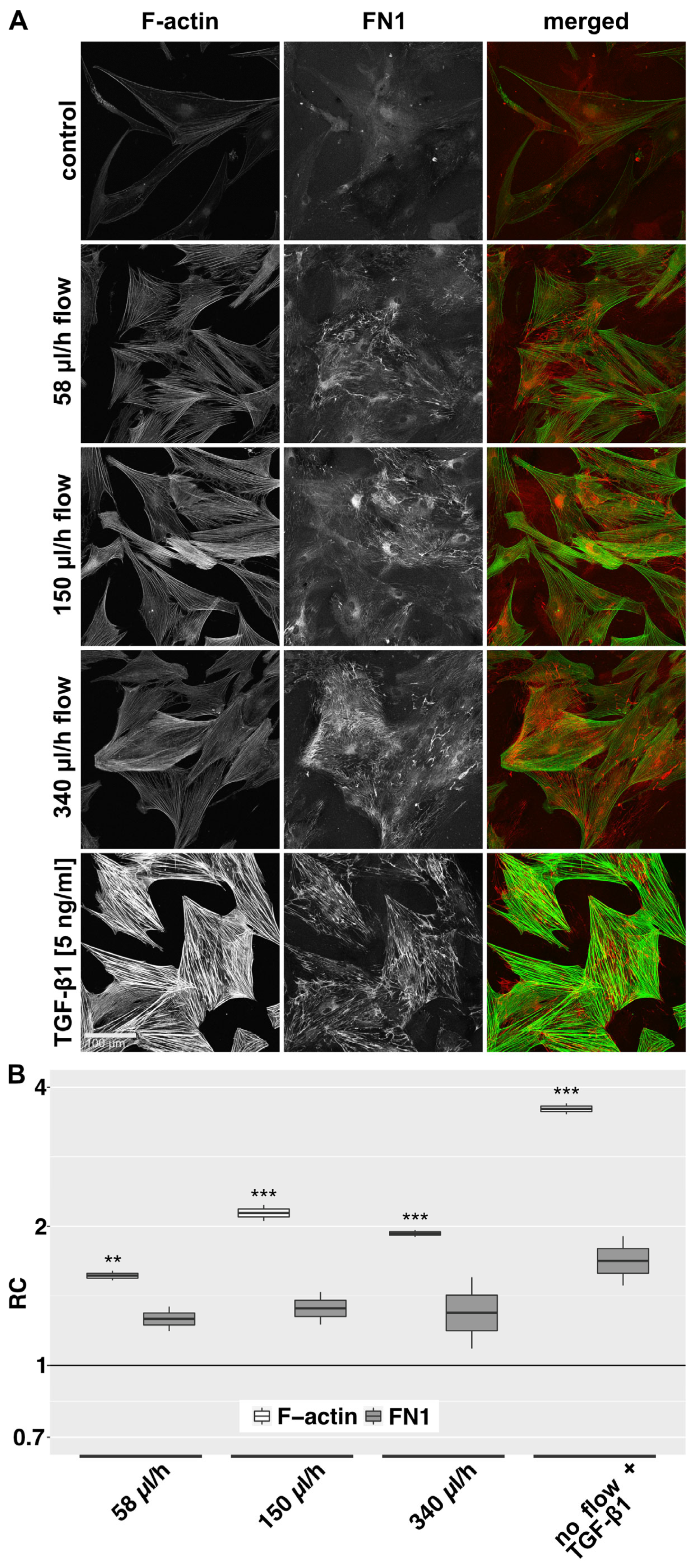 Cells 12 02205 g003