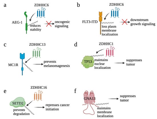 https://www.mdpi.com/cells/cells-12-02209/article_deploy/html/images/cells-12-02209-g006-550.jpg