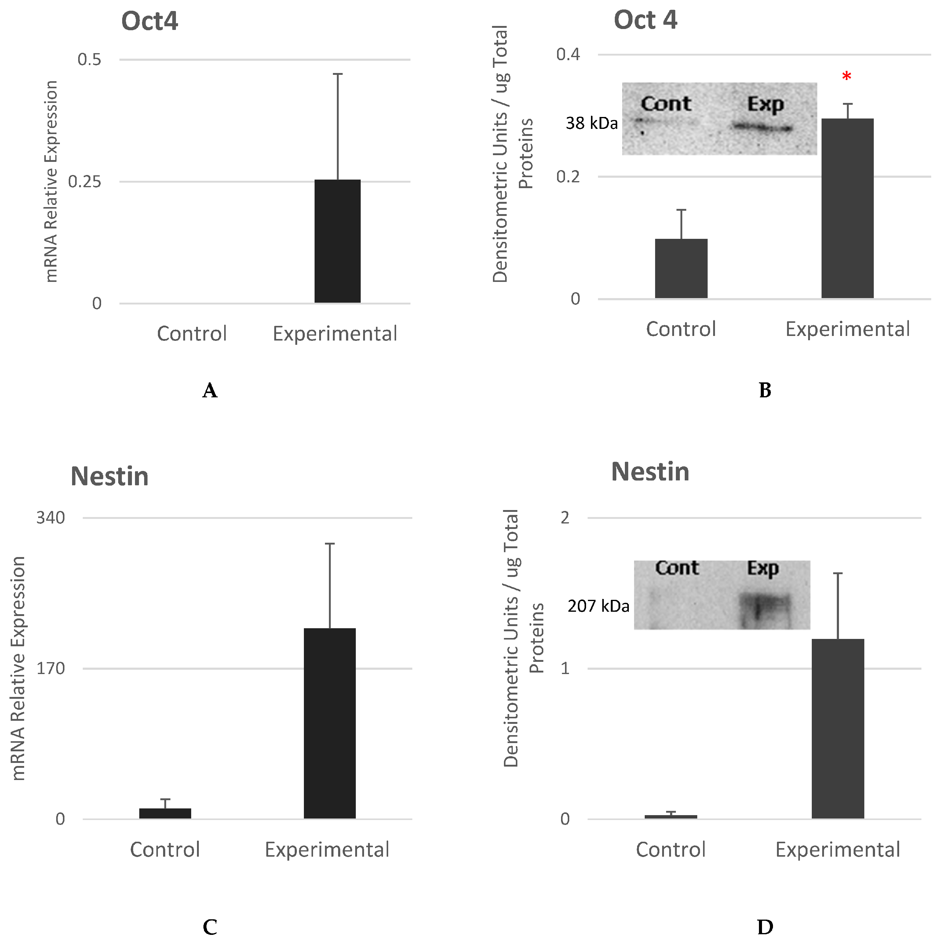Cells 12 02216 g008a