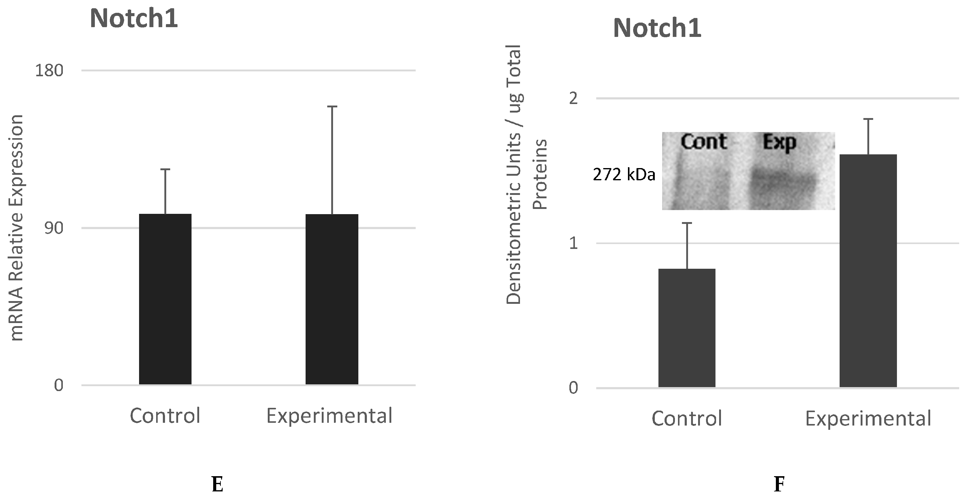 Cells 12 02216 g008b