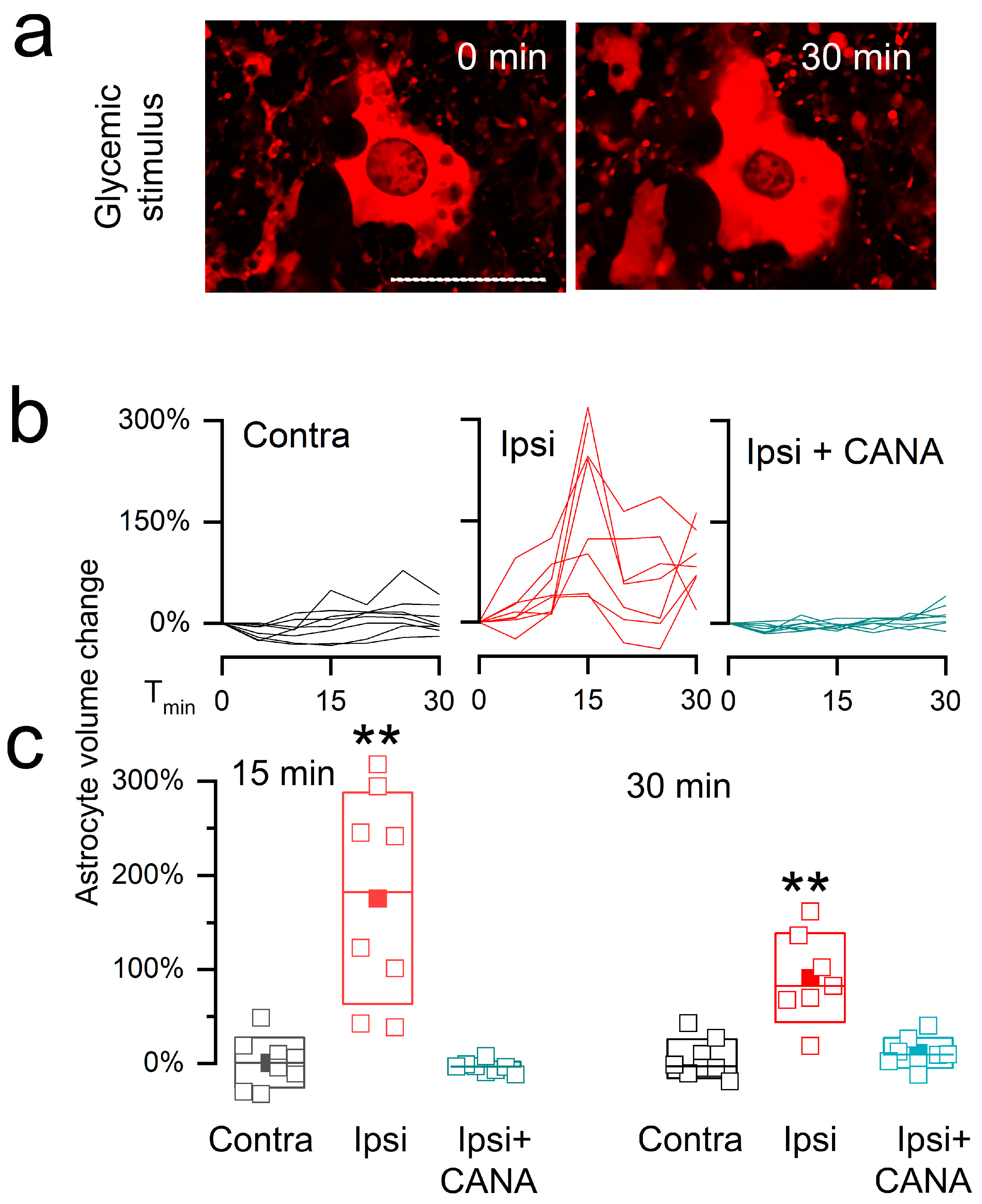 Cells 12 02221 g005