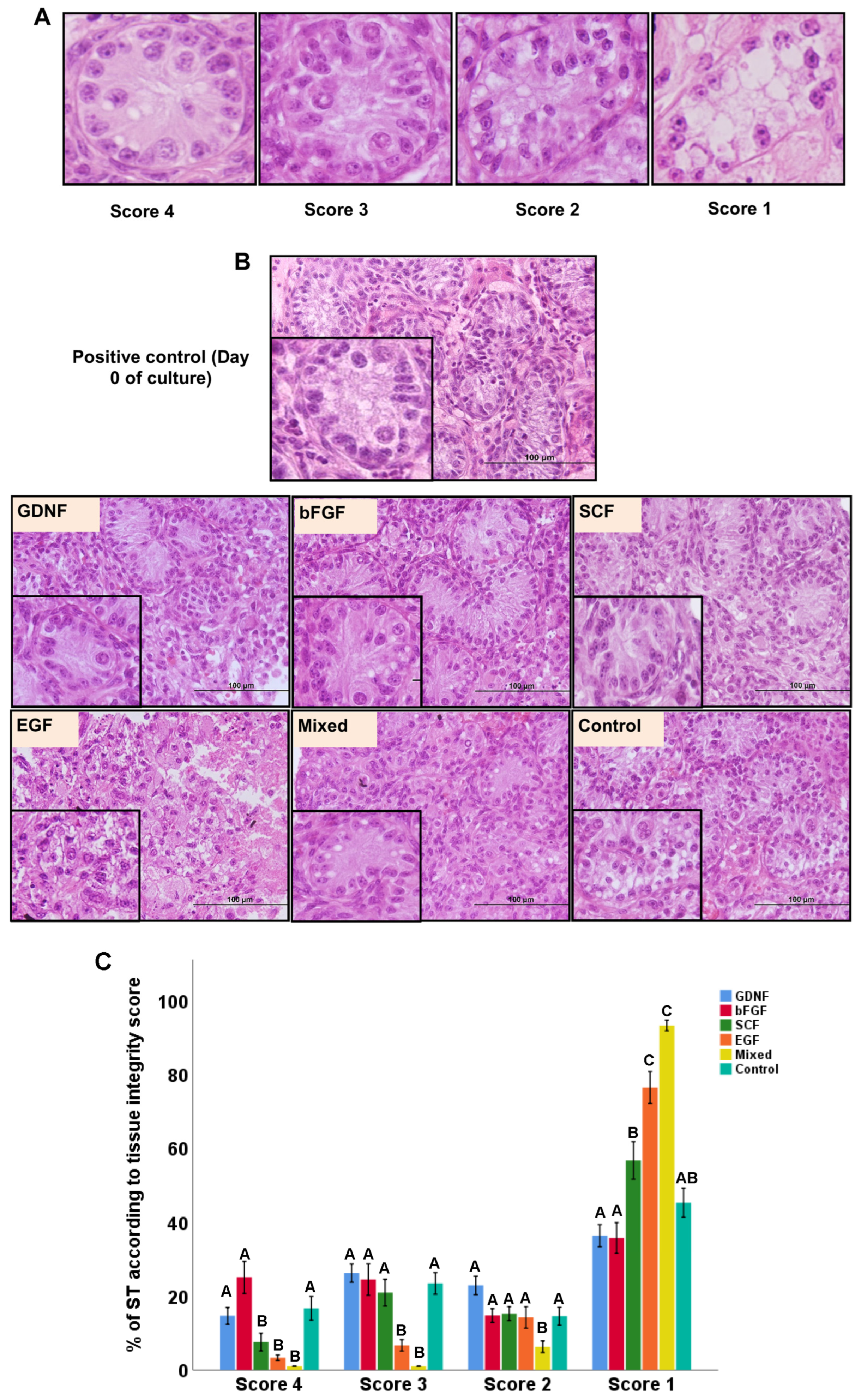 Cells 12 02234 g002 Cells 12 02234 g002