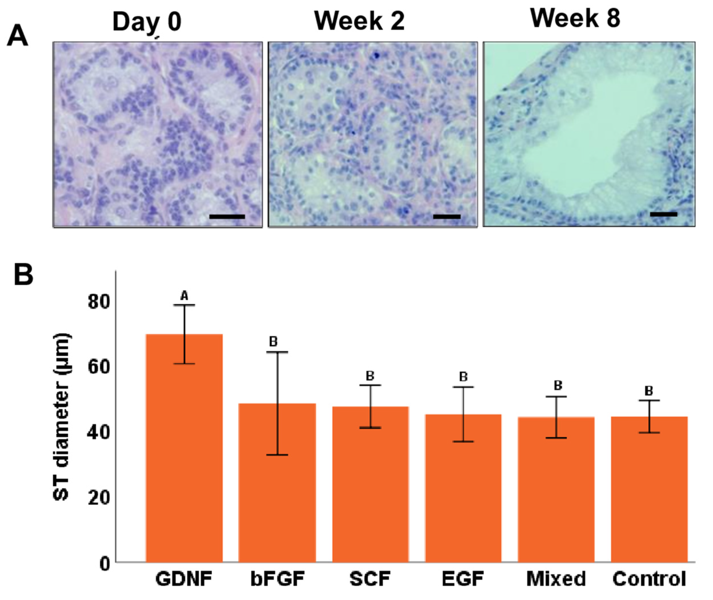 Cells 12 02234 g006 Cells 12 02234 g006