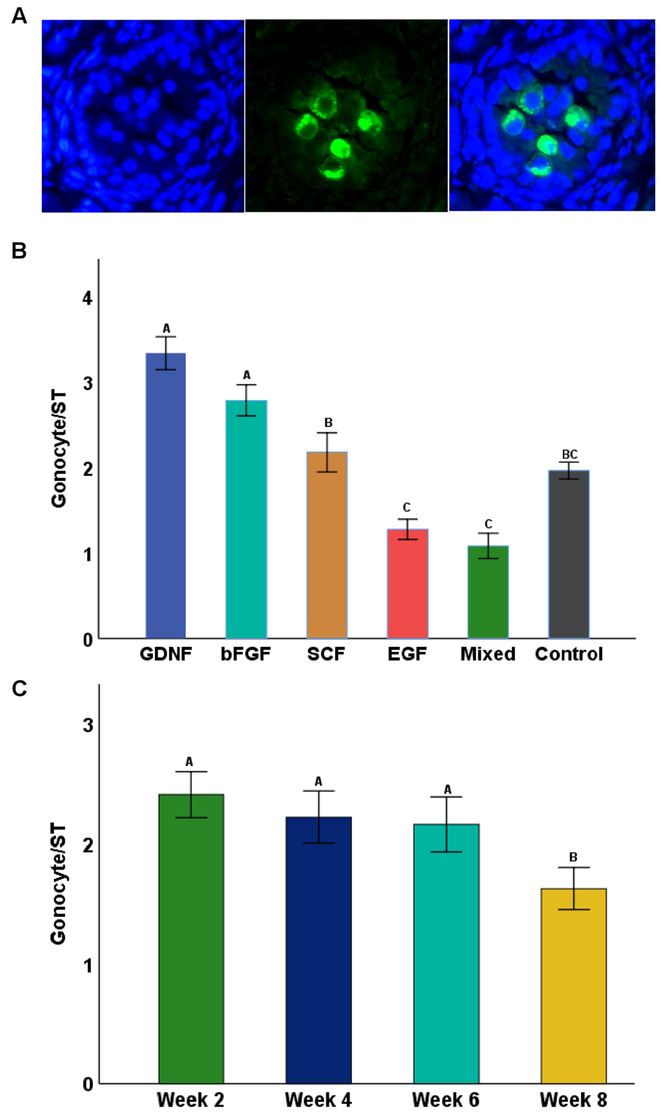 Cells 12 02234 g007 Cells 12 02234 g007
