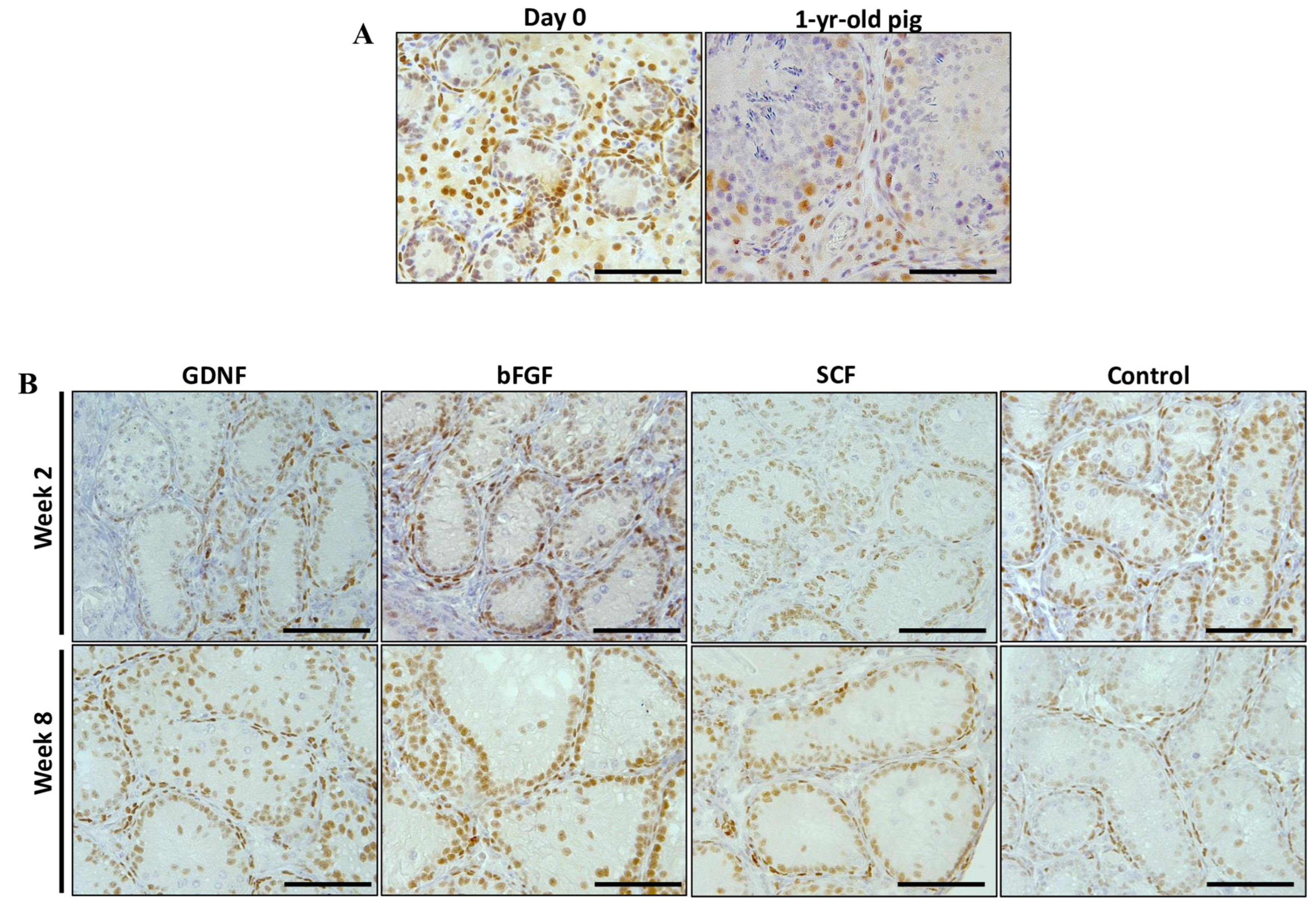 Cells 12 02234 g010 Cells 12 02234 g010