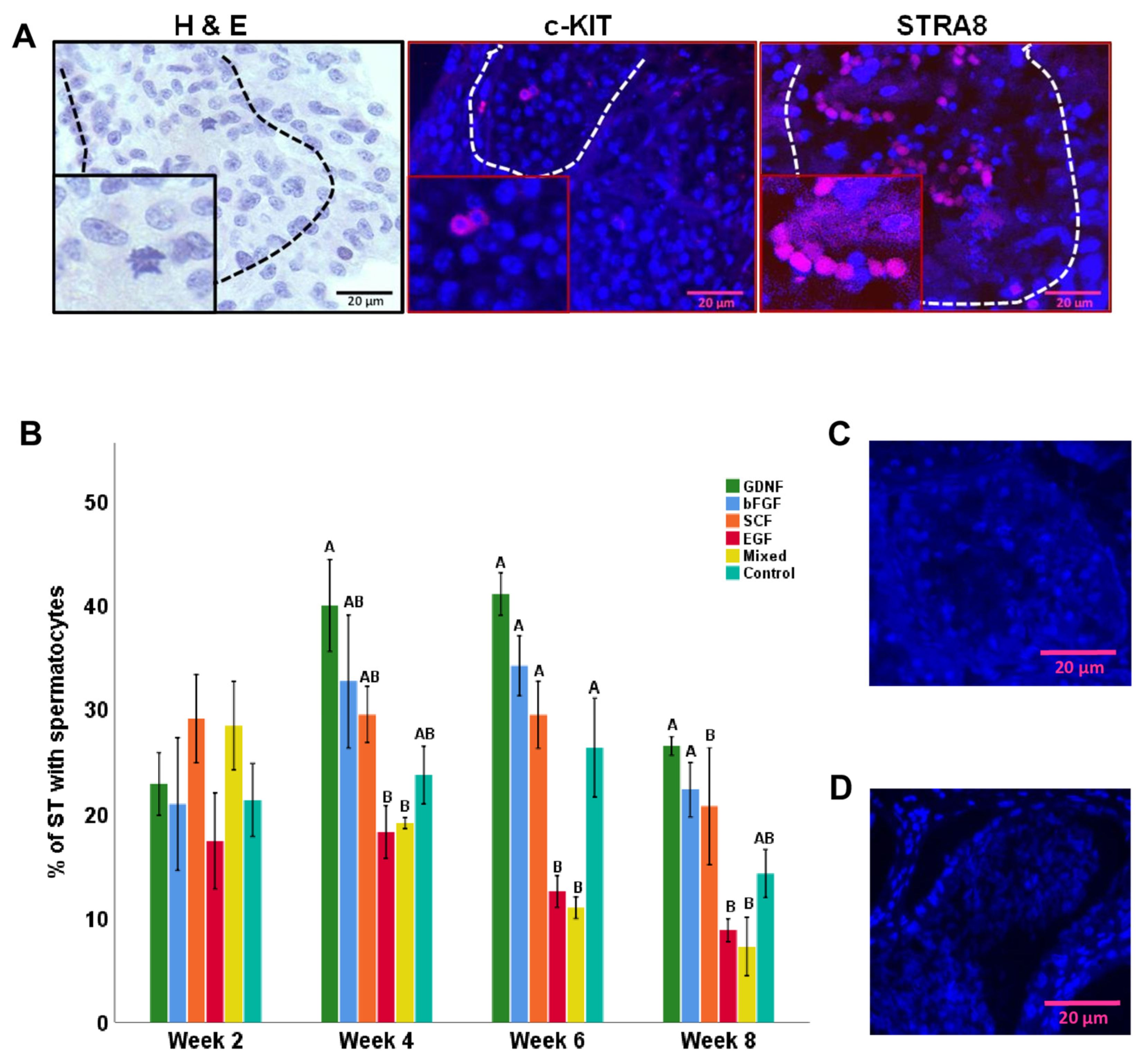 Cells 12 02234 g012 Cells 12 02234 g012