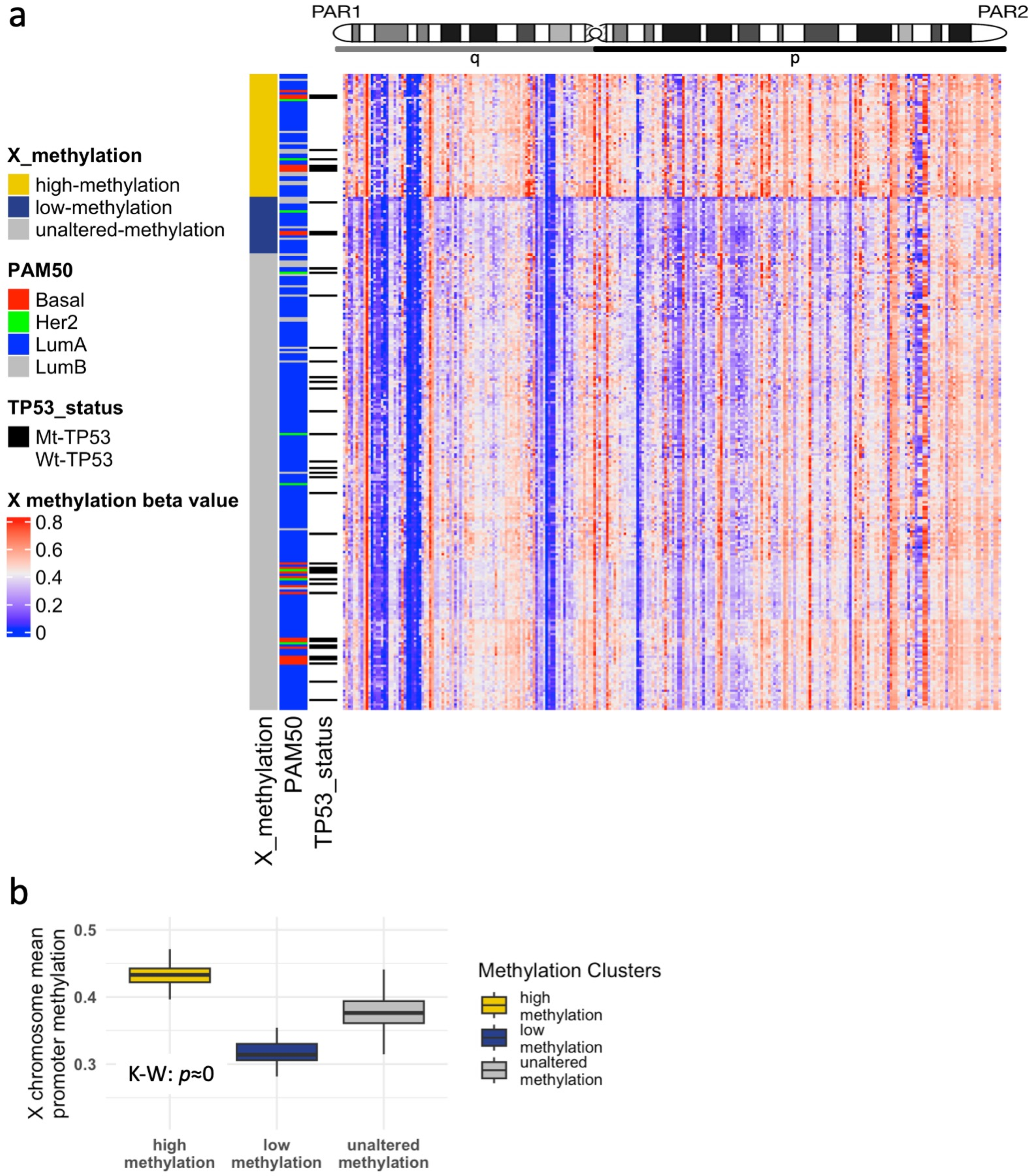 Cells 12 02245 g005 Cells 12 02245 g005
