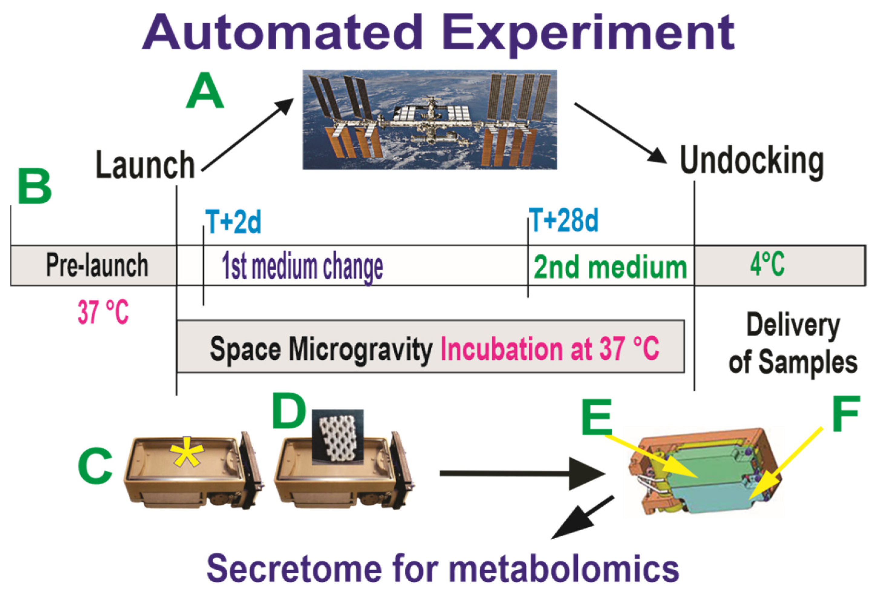 Cells 12 02249 g001 Cells 12 02249 g001
