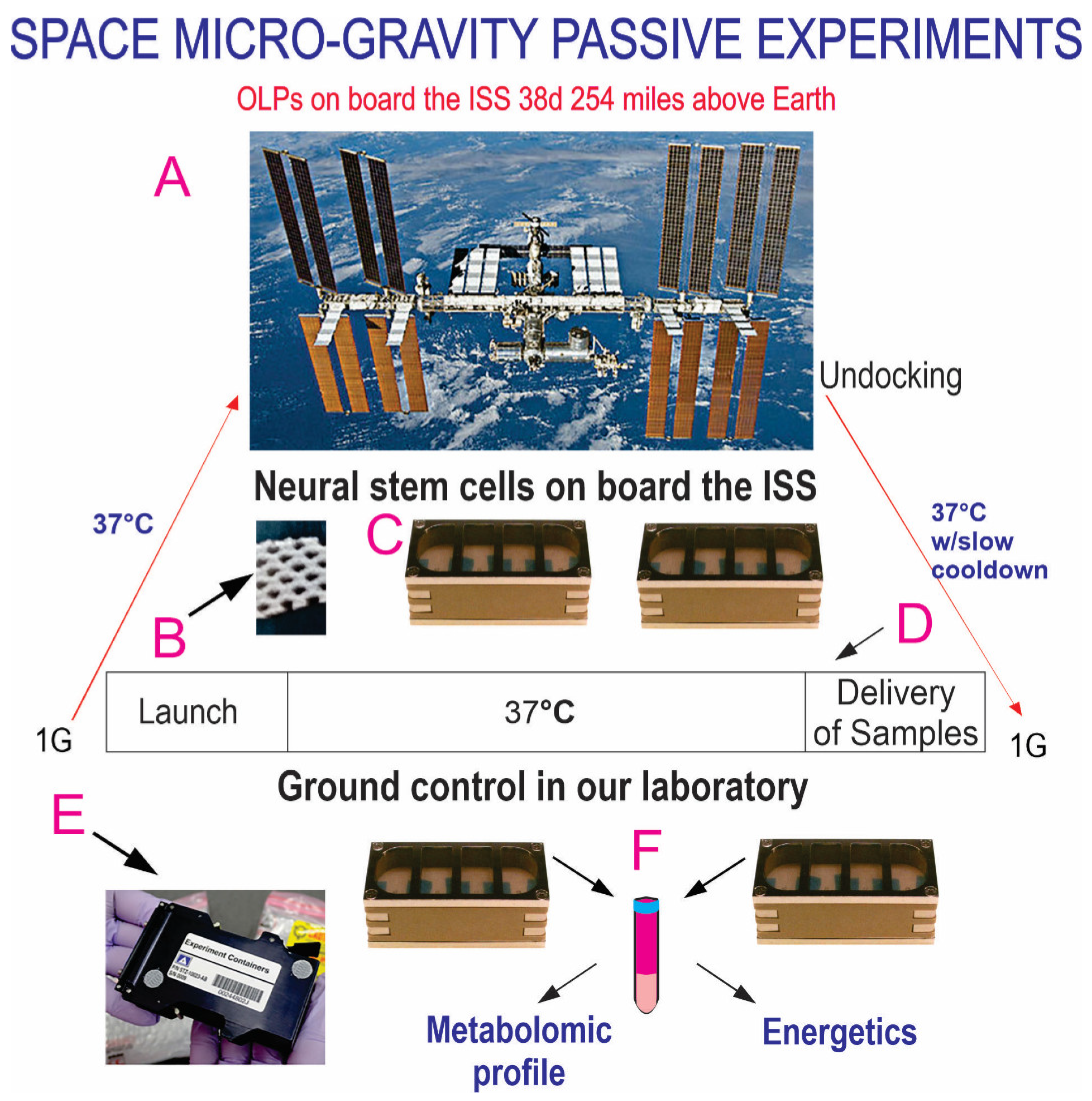 Cells 12 02249 g002 Cells 12 02249 g002