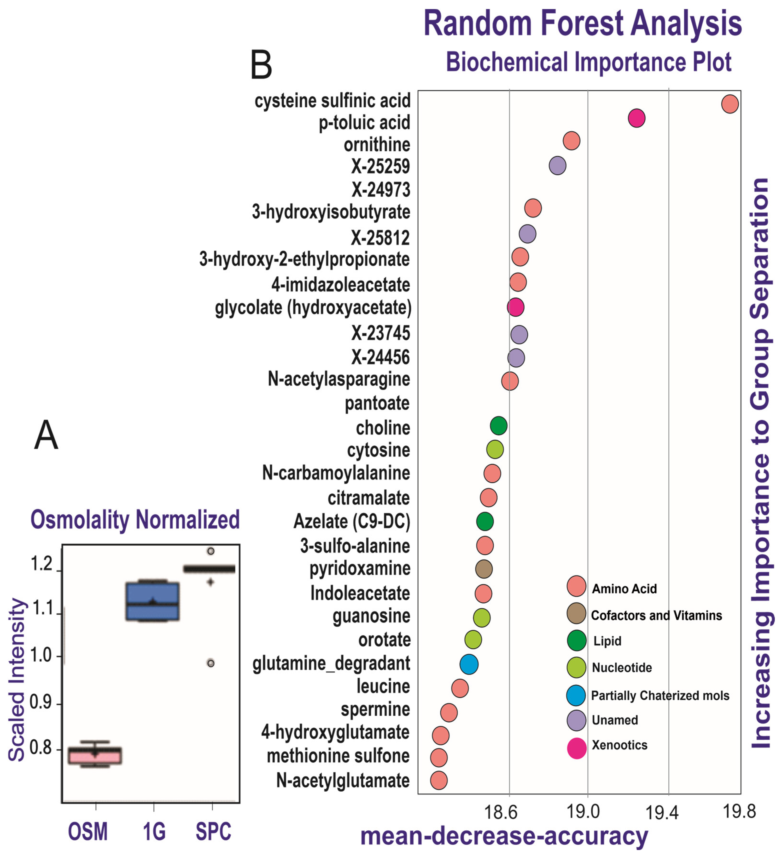Cells 12 02249 g003 Cells 12 02249 g003