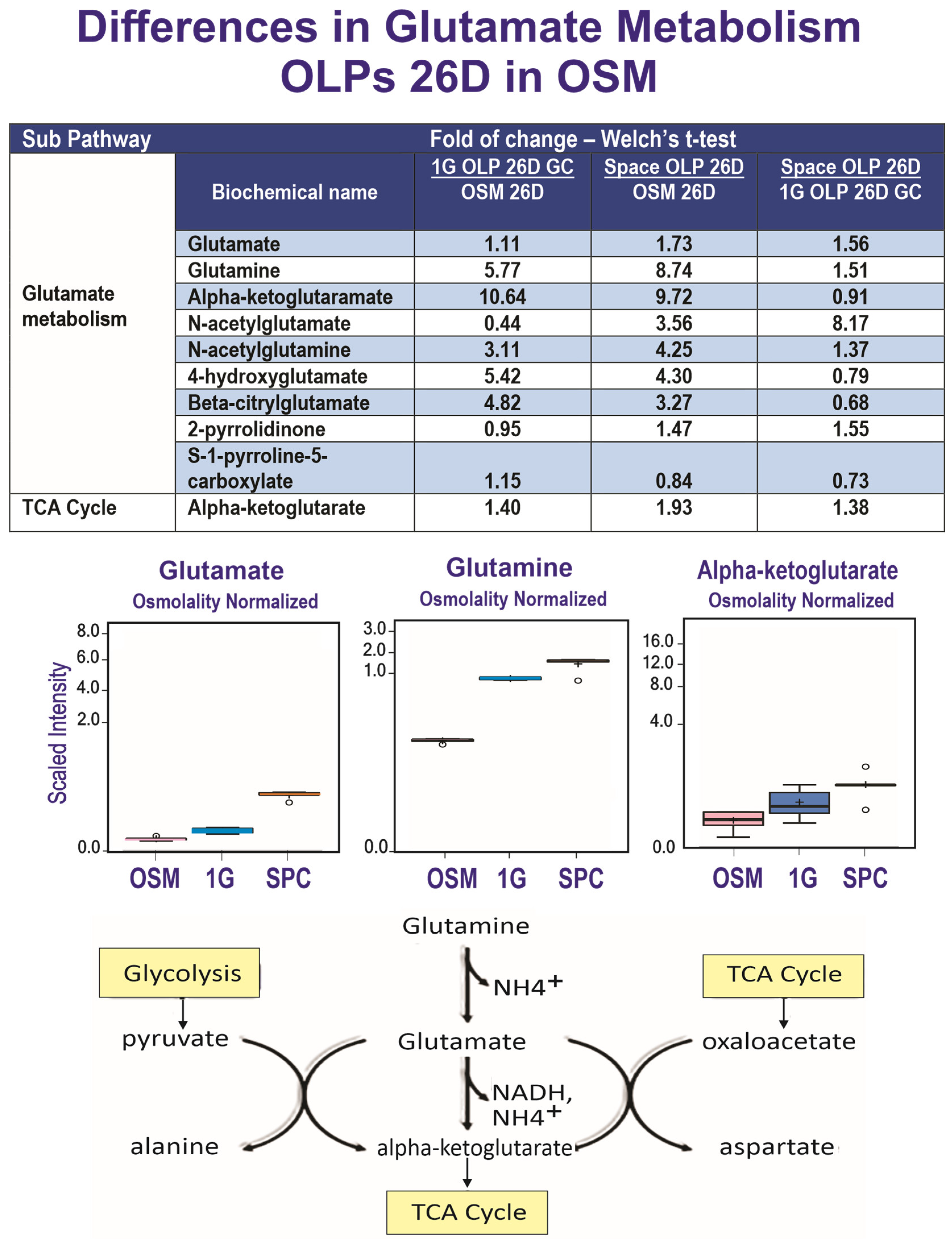 Cells 12 02249 g005 Cells 12 02249 g005