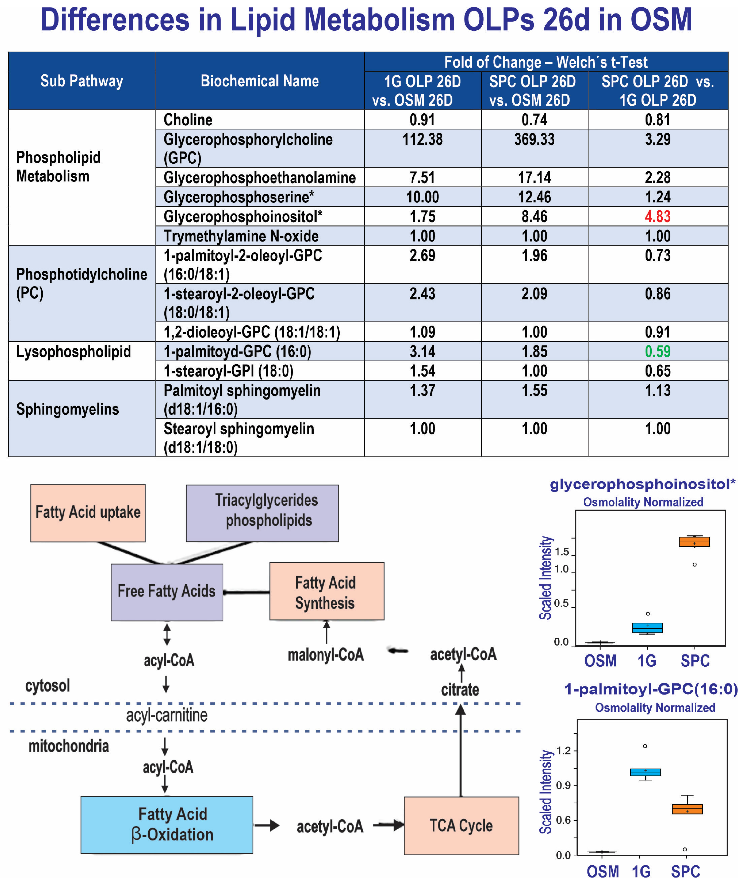 Cells 12 02249 g006 Cells 12 02249 g006