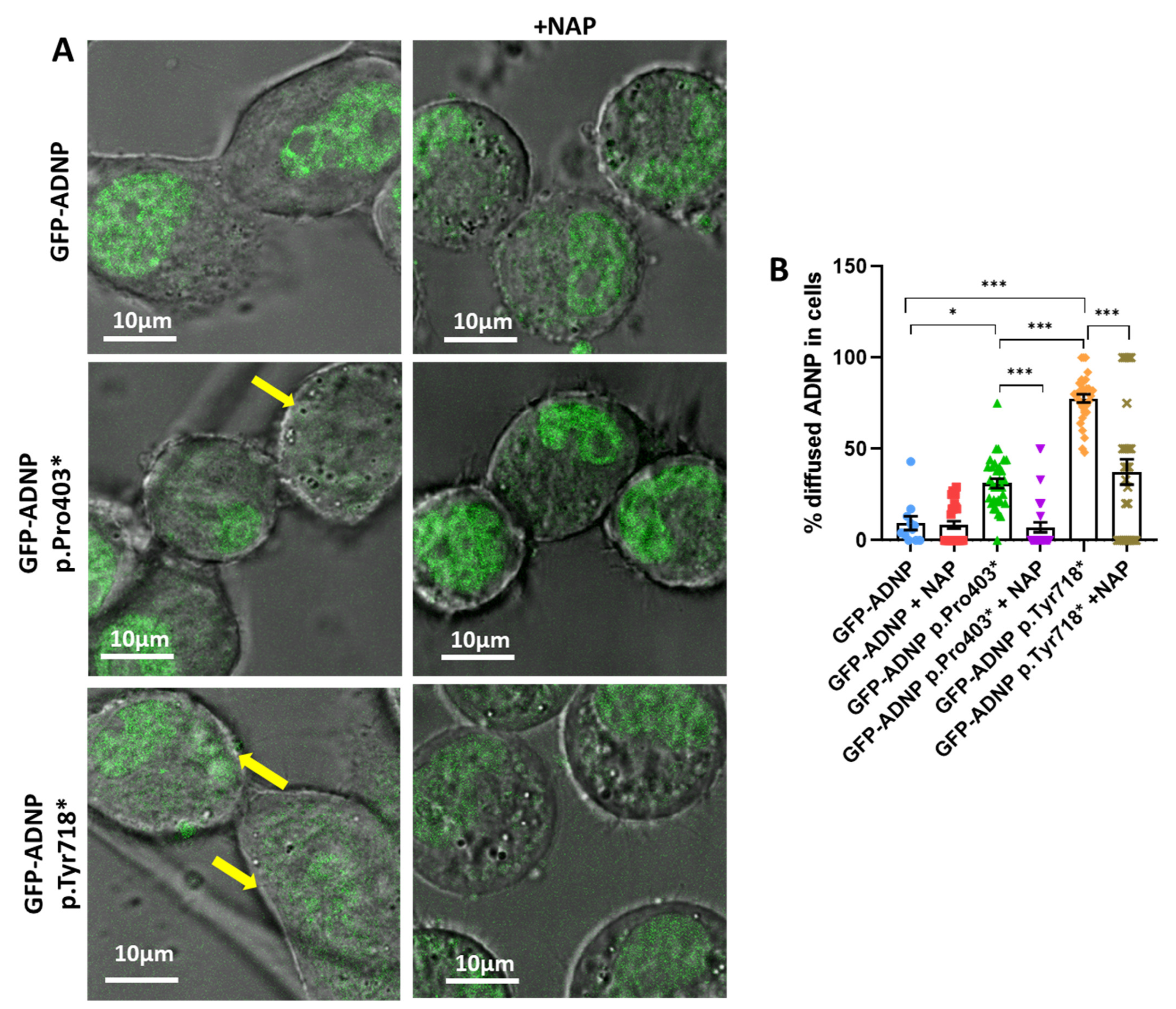 Cells 12 02251 g004