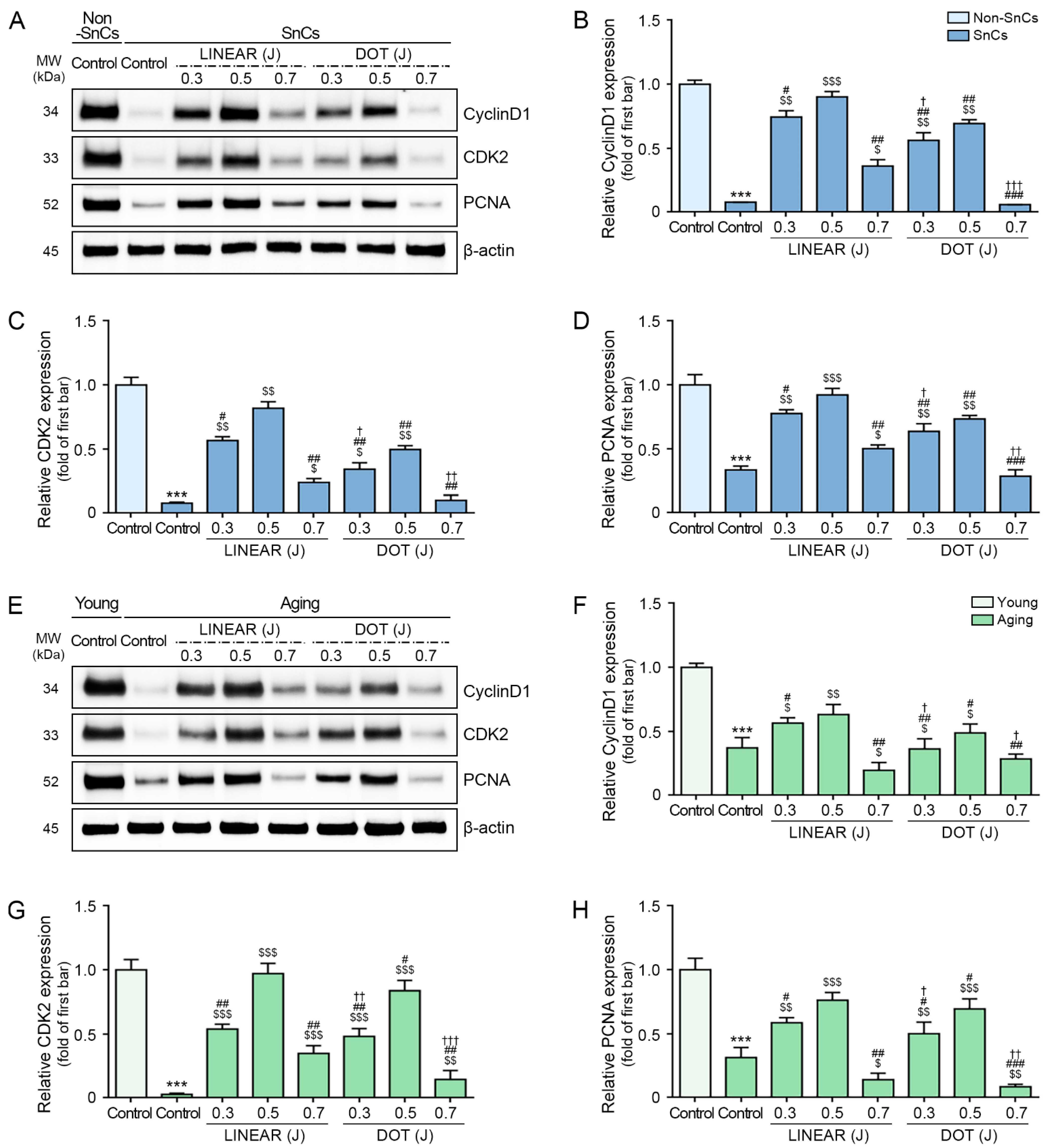 Cells 12 02275 g004