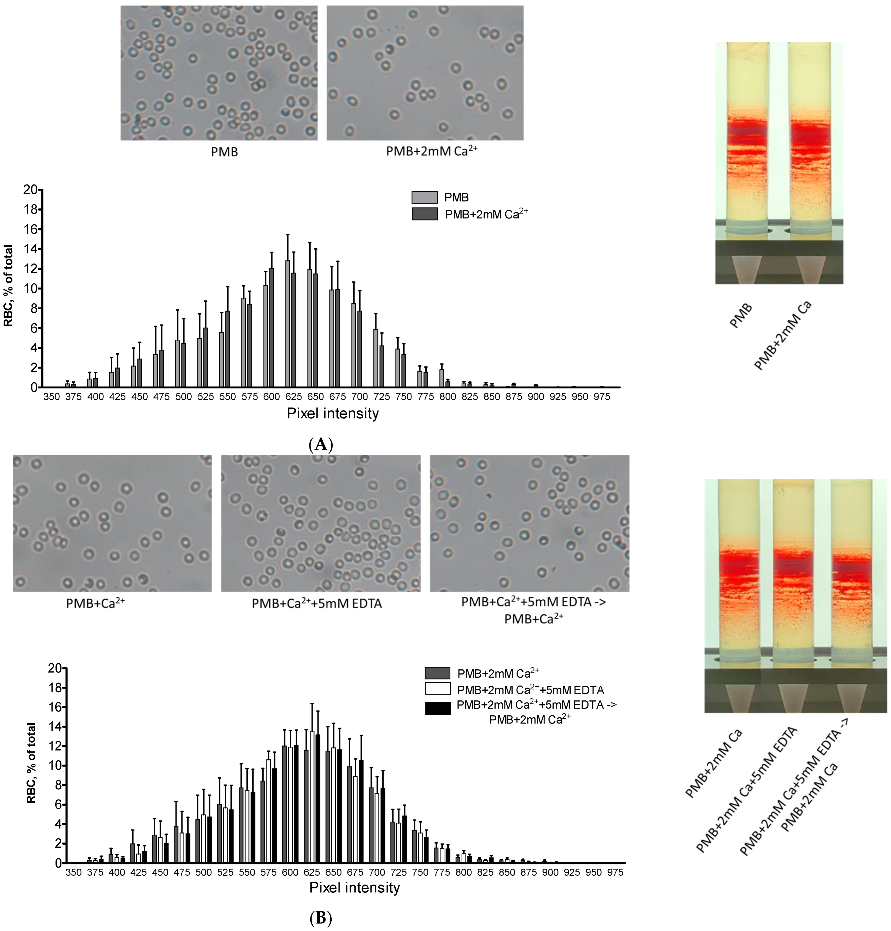 Cells 12 02280 g006 Cells 12 02280 g006